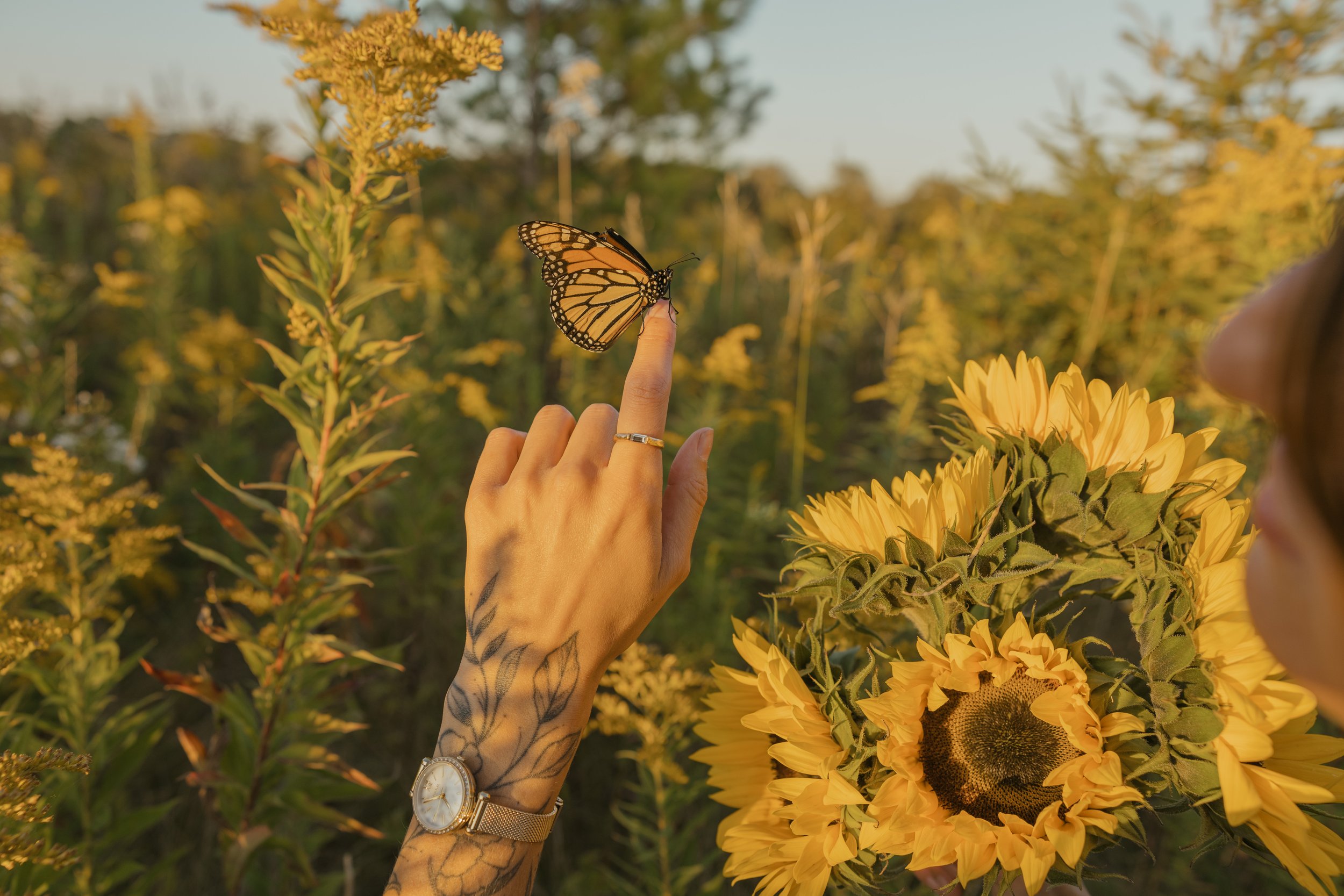 Brooke - Golden Hour-11.jpg