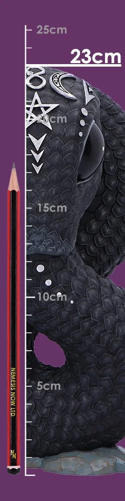 b7146c25-size.jpg
