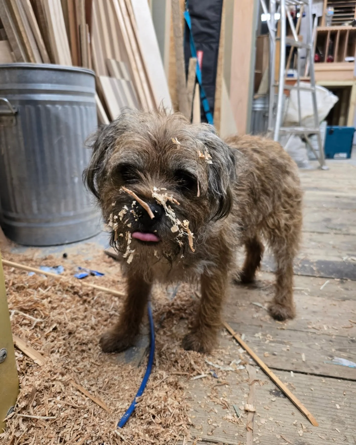 Hello, we've been quite on here for the last couple of months.
We have some amazing new projects coming up as well as some recently completed that we are excited to share on here.

We are currently halfway through moving our workshop after upgrading 