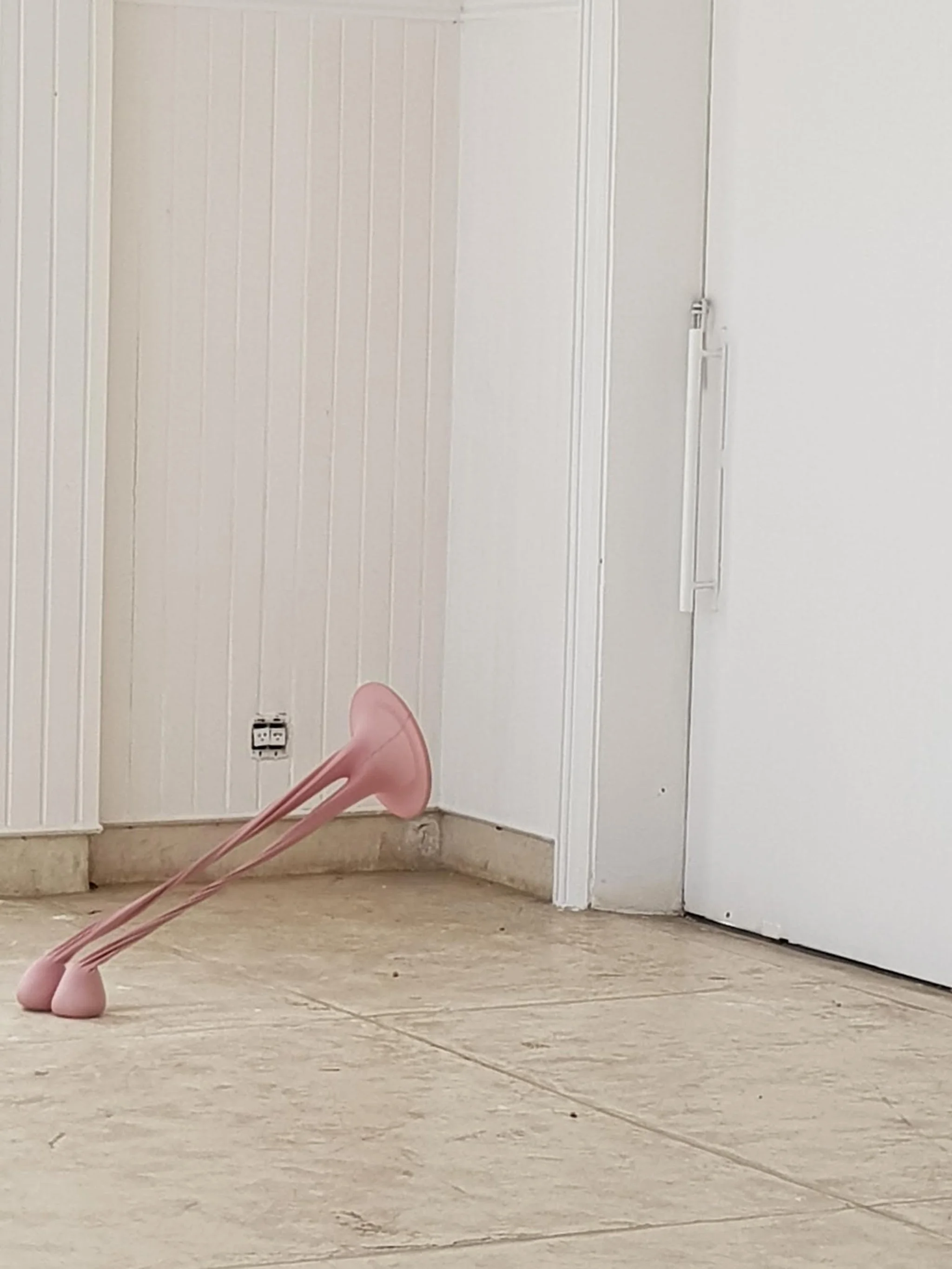20180823_115943.jpg