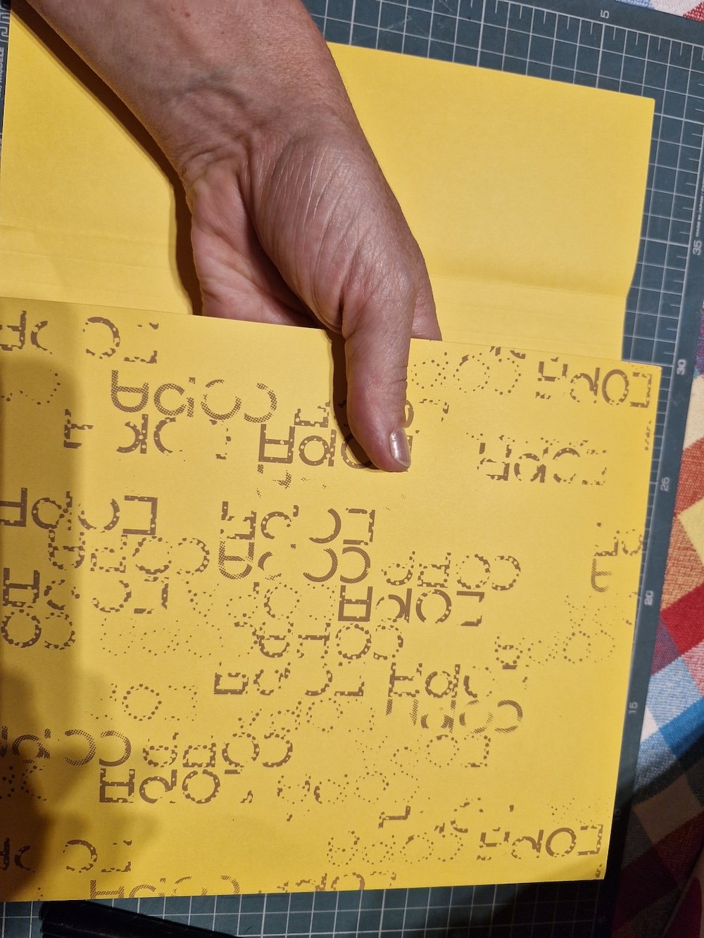 20241024_175251.jpg