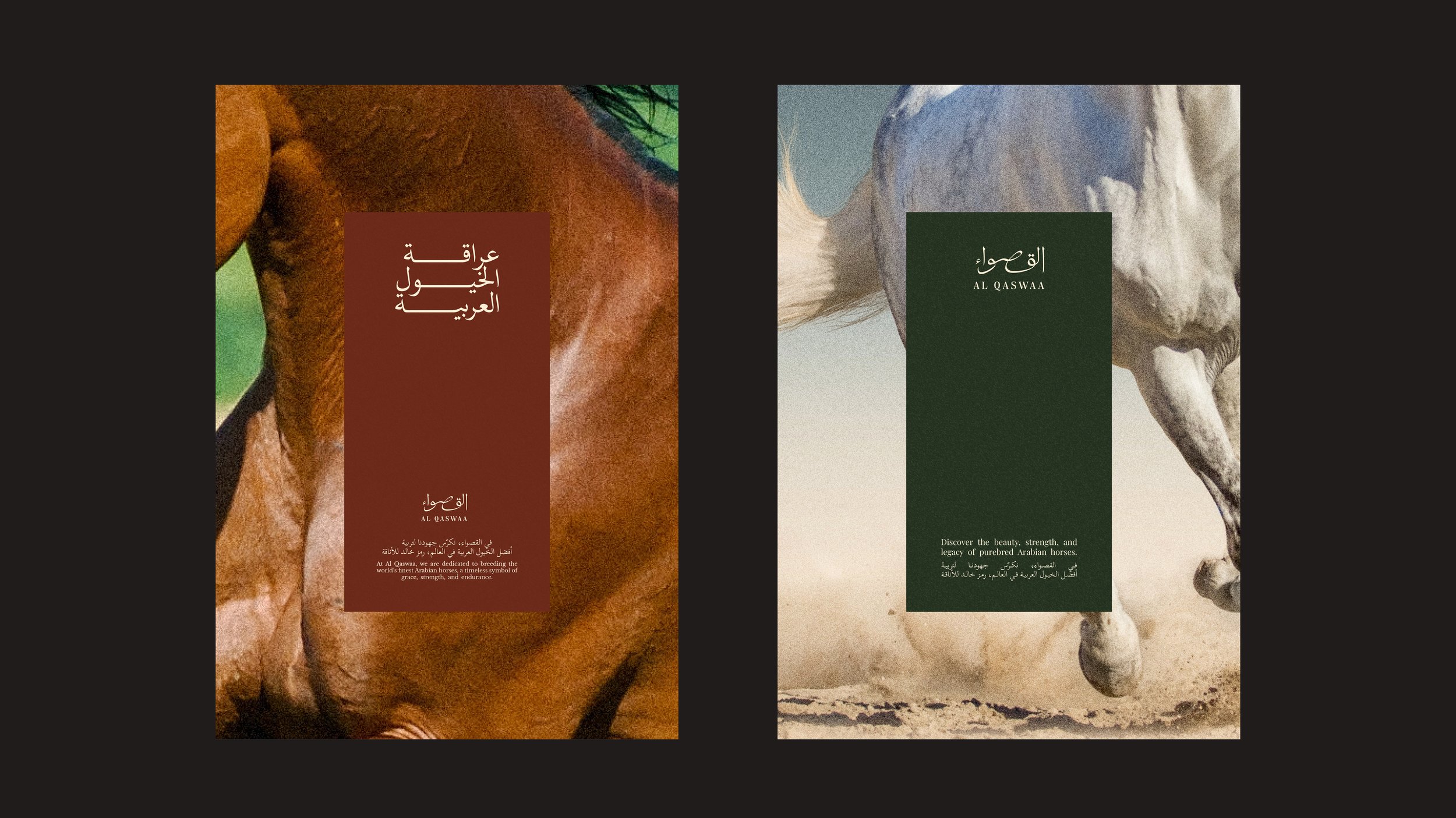 Al Qaswaa branding 9.jpg