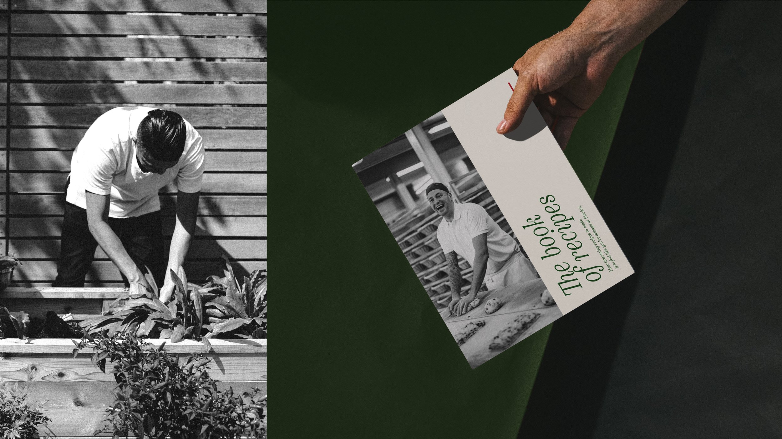 Design portfolio - Bashar Galal - 2024104.jpg
