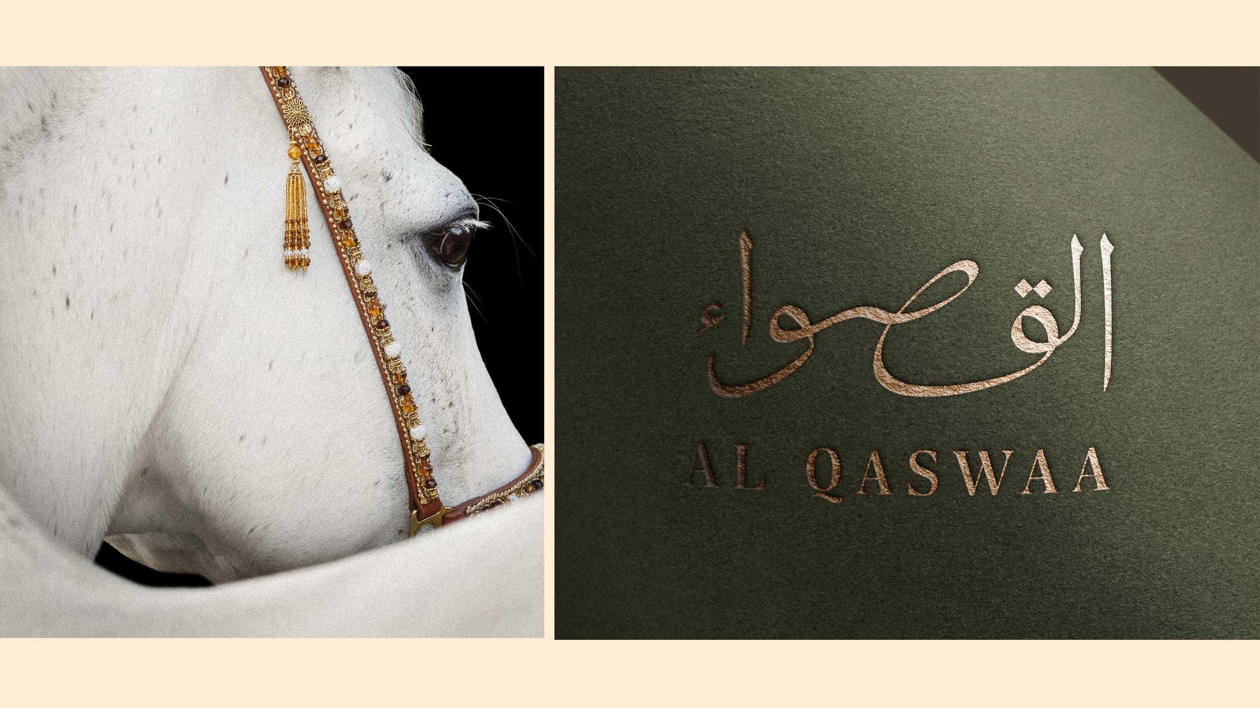 Al Qaswaa branding 4.jpg
