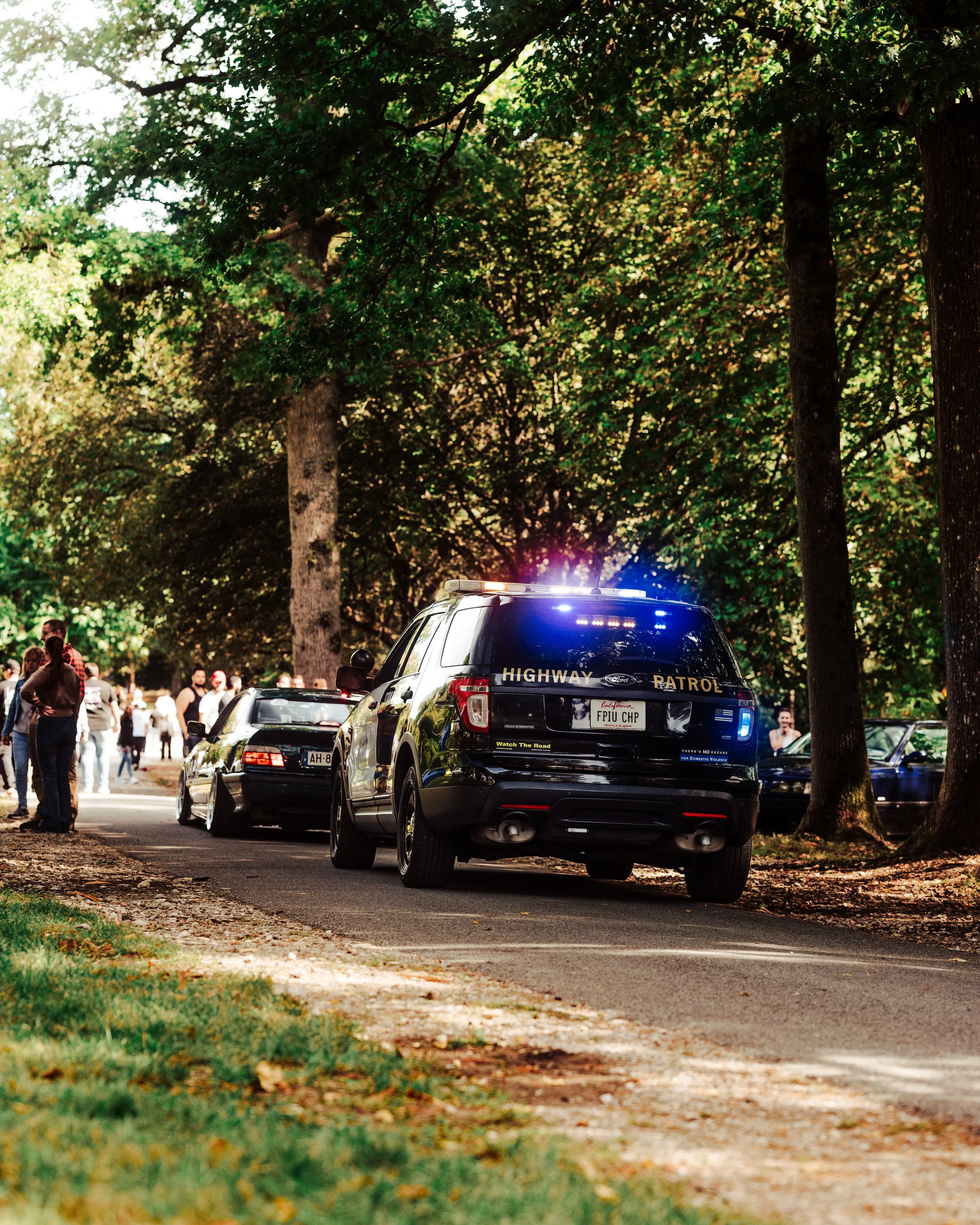 06092025-_DSC1923-Avec accentuation-Bruit-2.jpg