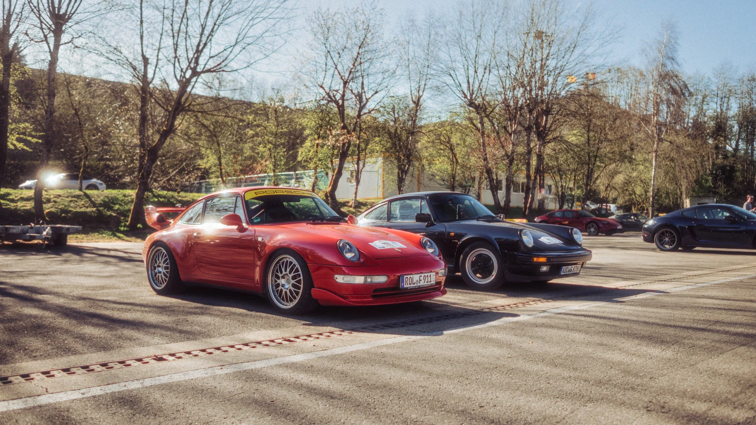 13032026-_DSC8089-Avec accentuation-Bruit-Modifier.JPG