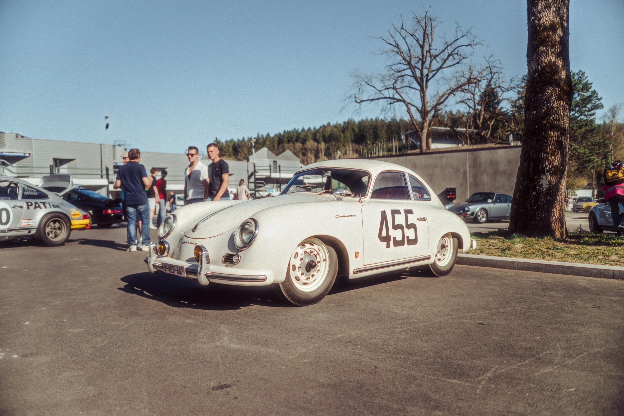 _DSC8071-Avec accentuation-Bruit-Modifier.jpg