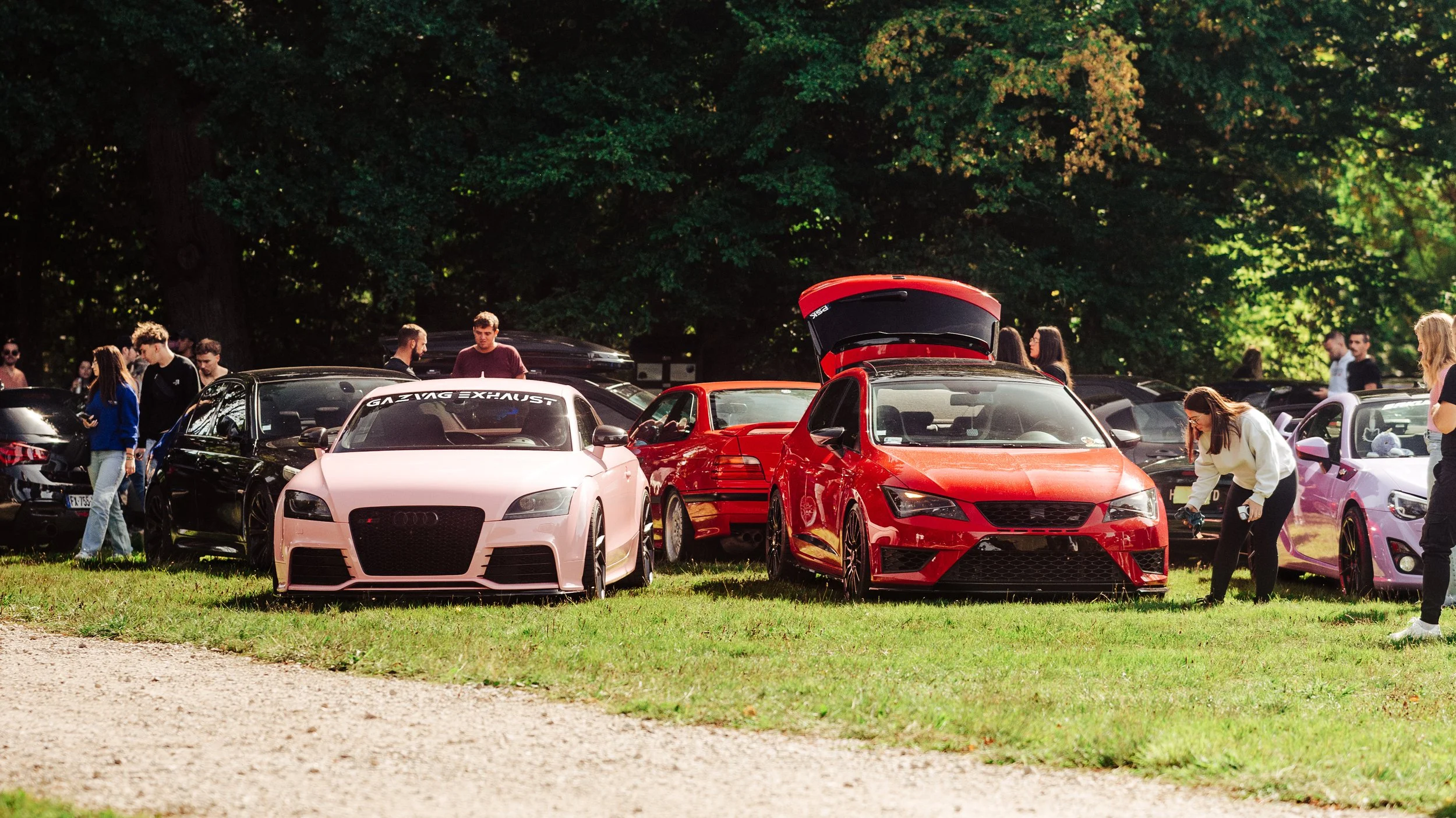 06092025-_DSC1826-Avec accentuation-Bruit.jpg