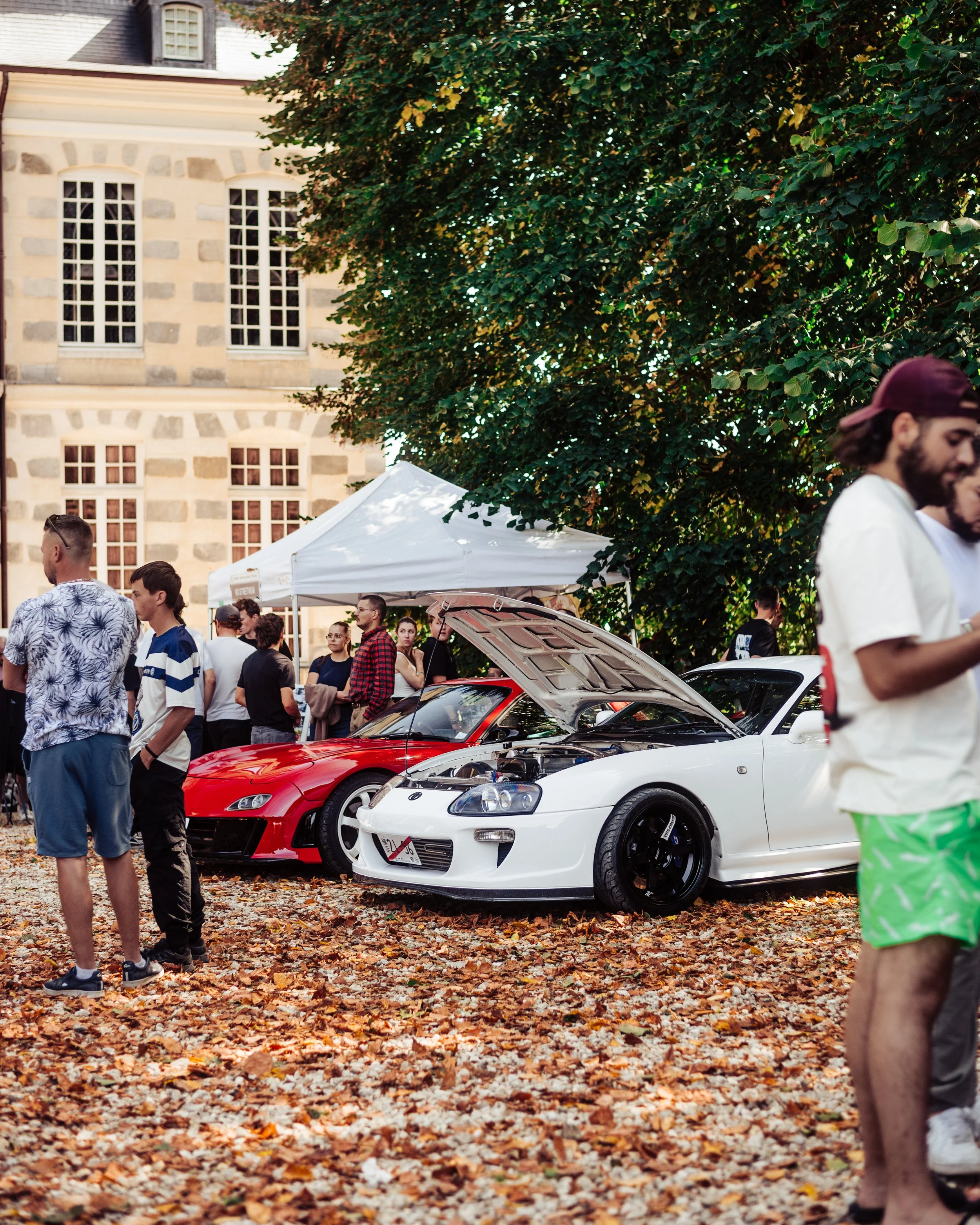 06092025-_DSC2065-Avec accentuation-Bruit.jpg