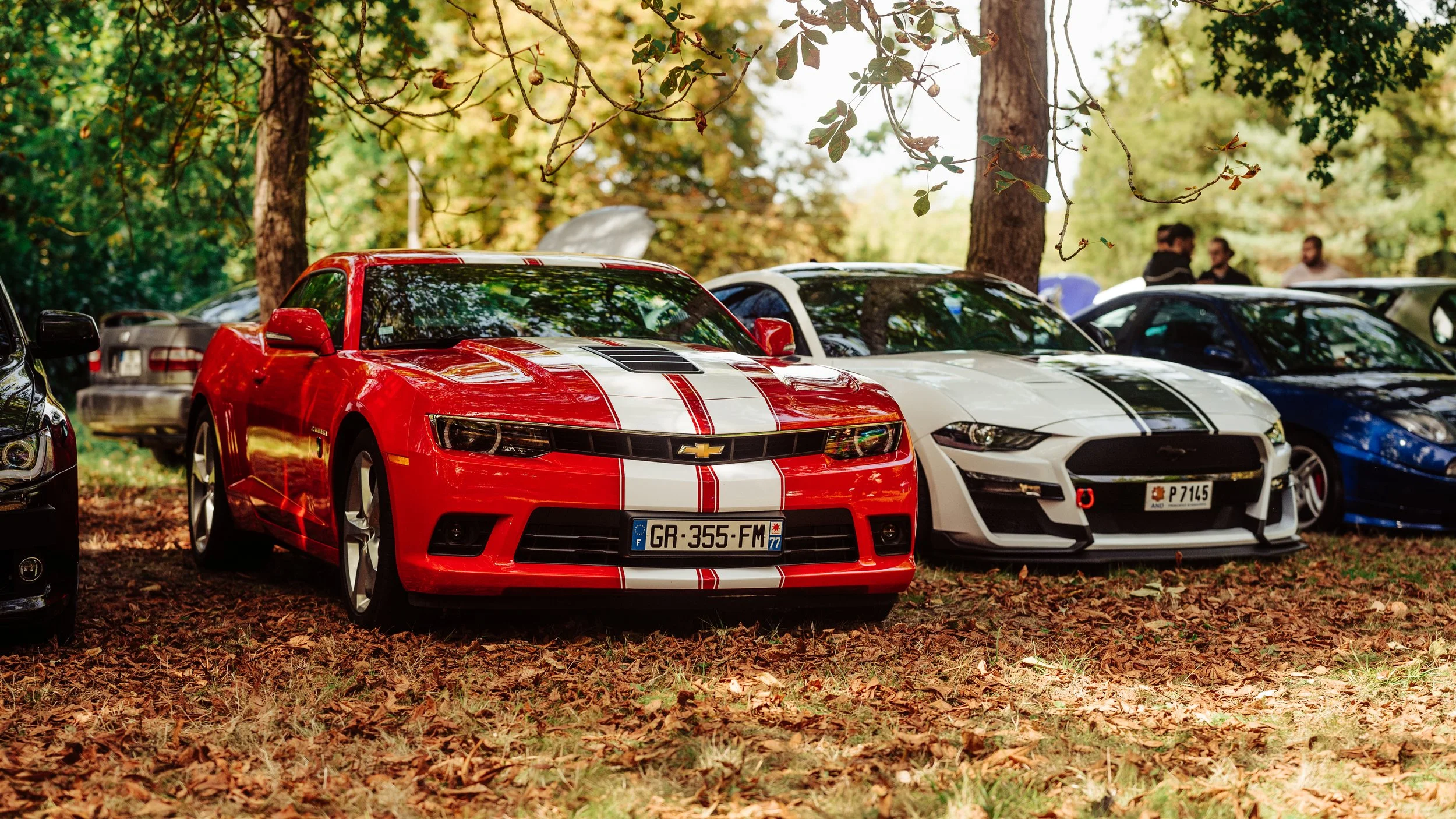 06092025-_DSC1948-Avec accentuation-Bruit.jpg