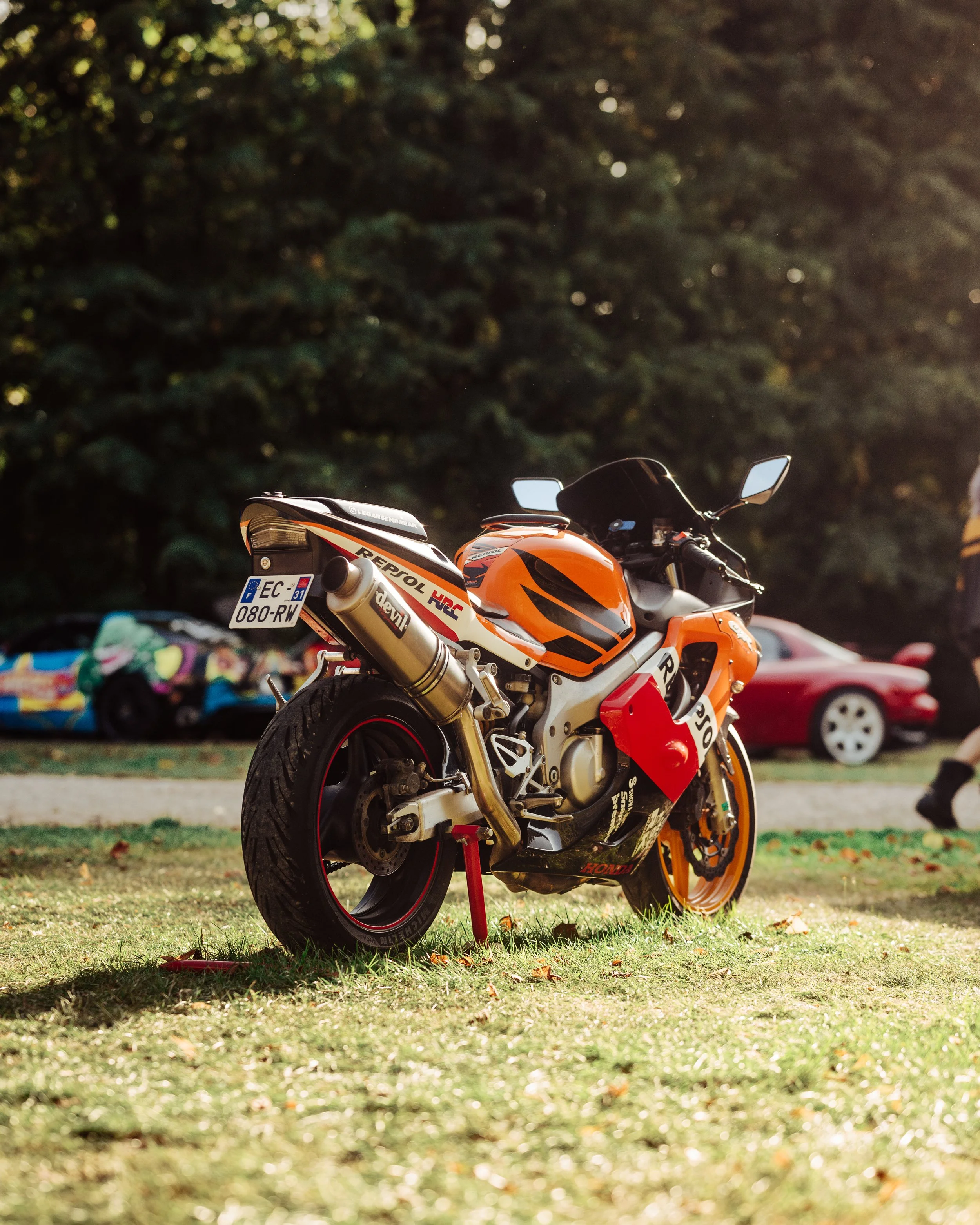 06092025-_DSC2408-Avec accentuation-Bruit.jpg