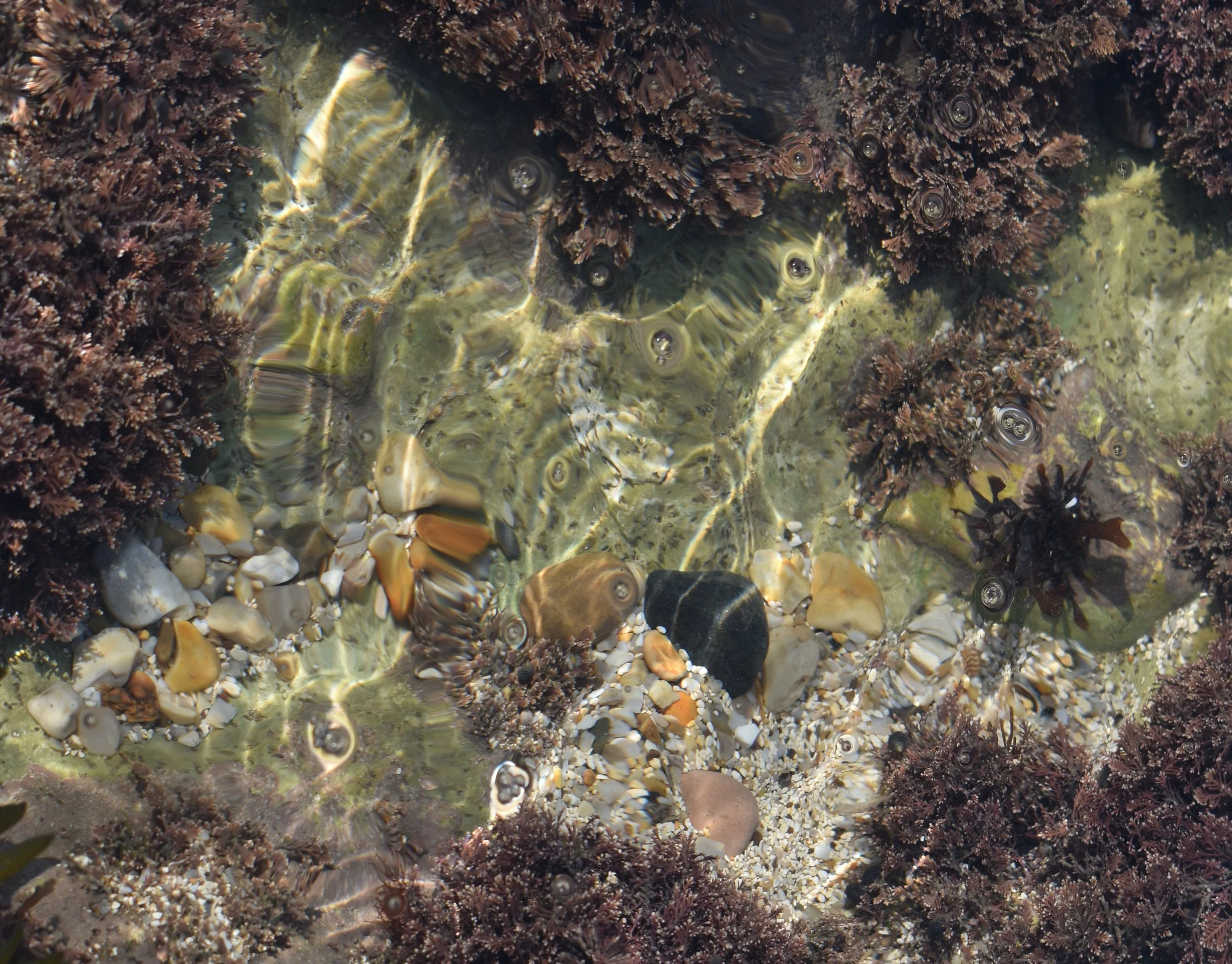 Meet a Medievalist Maker: Becca Drake