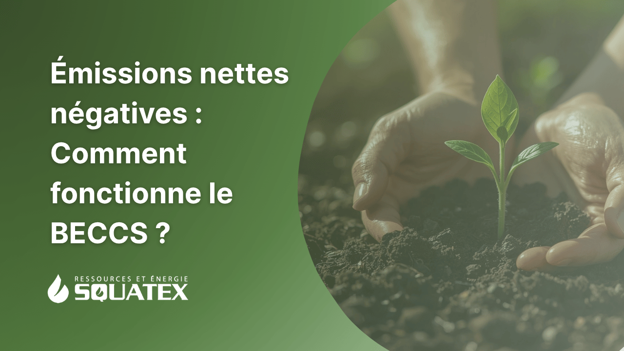 BECCS : bioénergie et capture du carbone expliquées