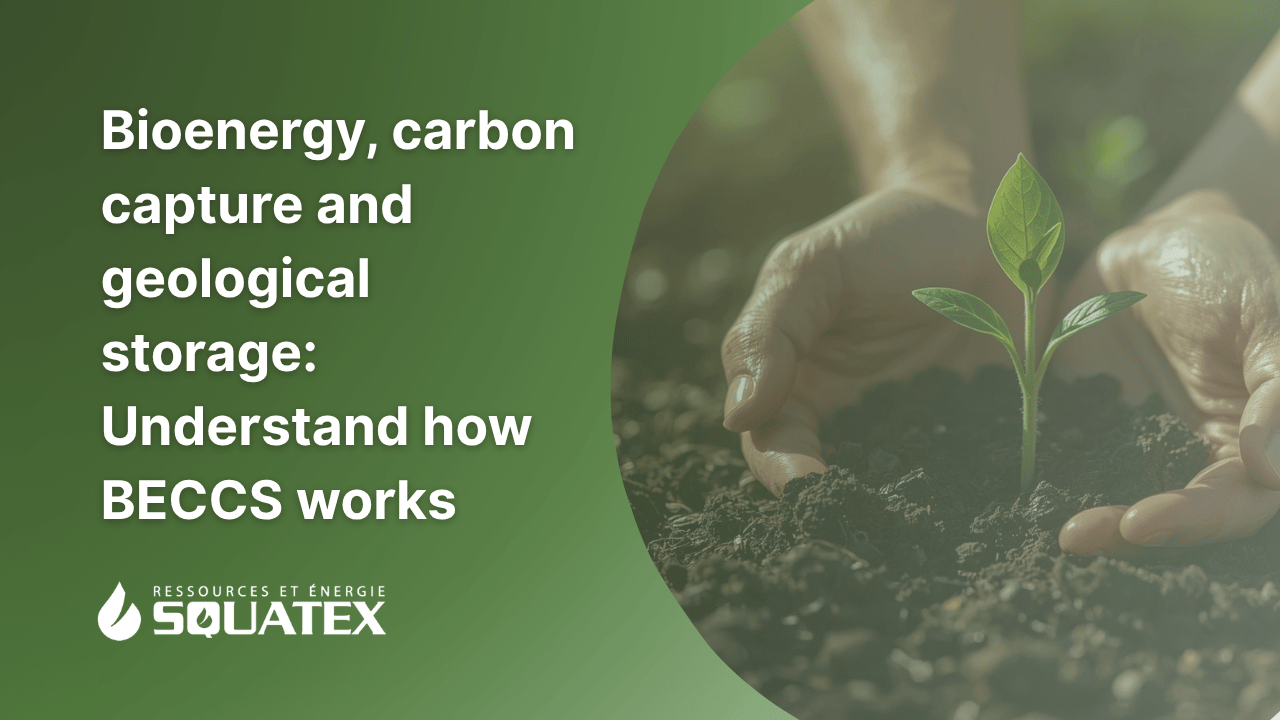 BECCS: Bioenergy and Carbon Capture Explained