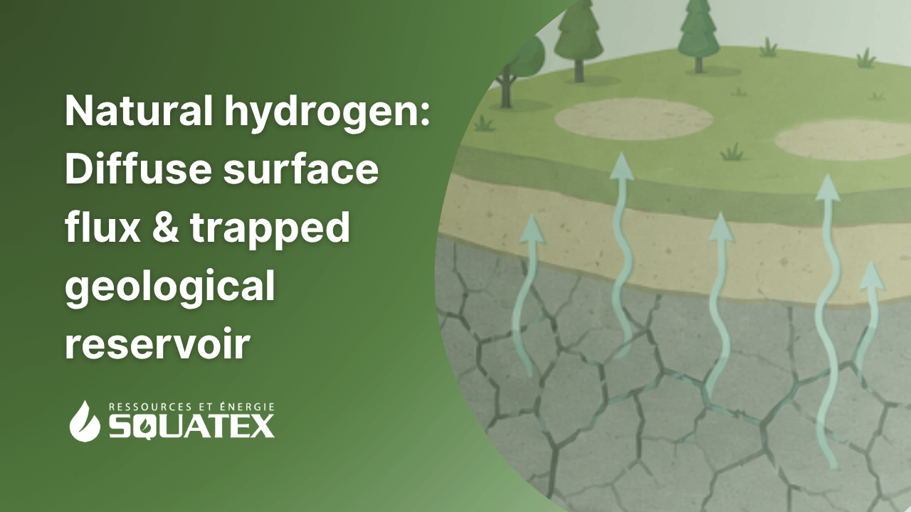 Natural hydrogen: what is the difference between a diffuse surface flux and a trapped geological reservoir?