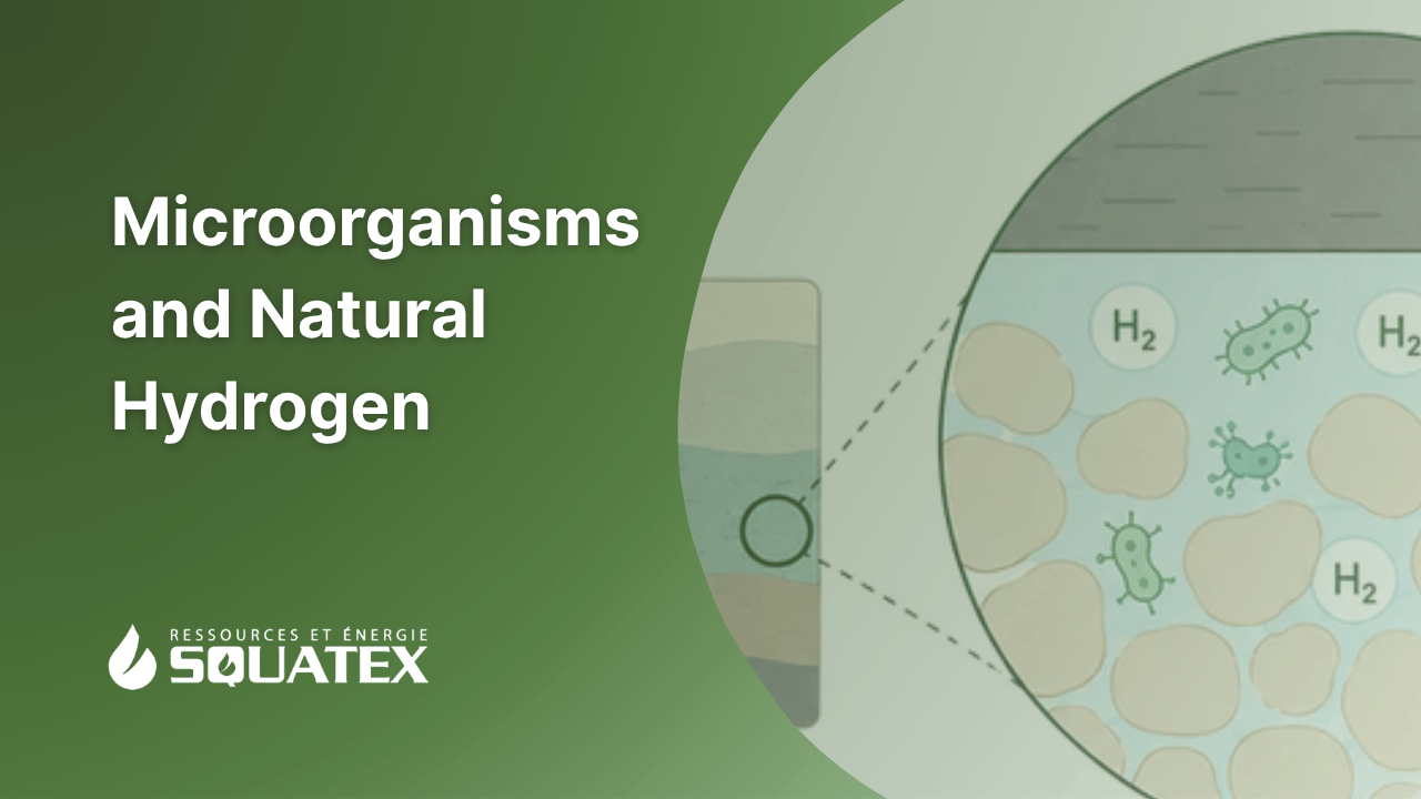 Natural Hydrogen and Subsurface Microbiology: How Do Bacteria Influence Geological Accumulations?