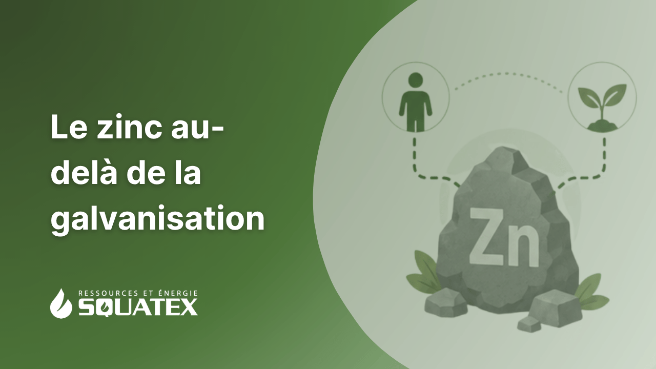 Pourquoi le zinc est un micronutriment essentiel pour l’humain et les plantes