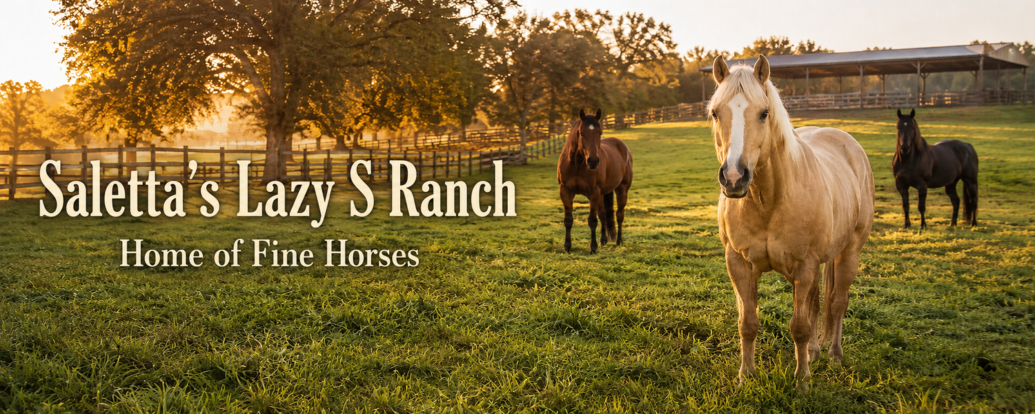 Saletta's Lazy S Ranch