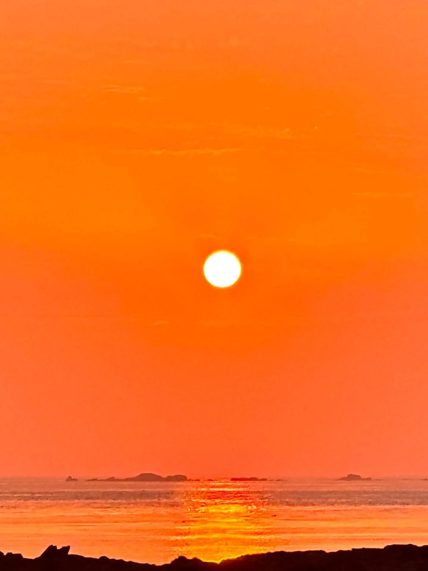 2025 l&rsquo;&eacute;t&eacute; de tous les sunsets 🌅
Chaque soir il enflamme le ciel, l&rsquo;habille d&rsquo;orange, de rouge, d&rsquo;or et de sienne. 
On voudrait capturer son intensit&eacute;, ses nuances, sa toute puissance &hellip; 
avec nos t