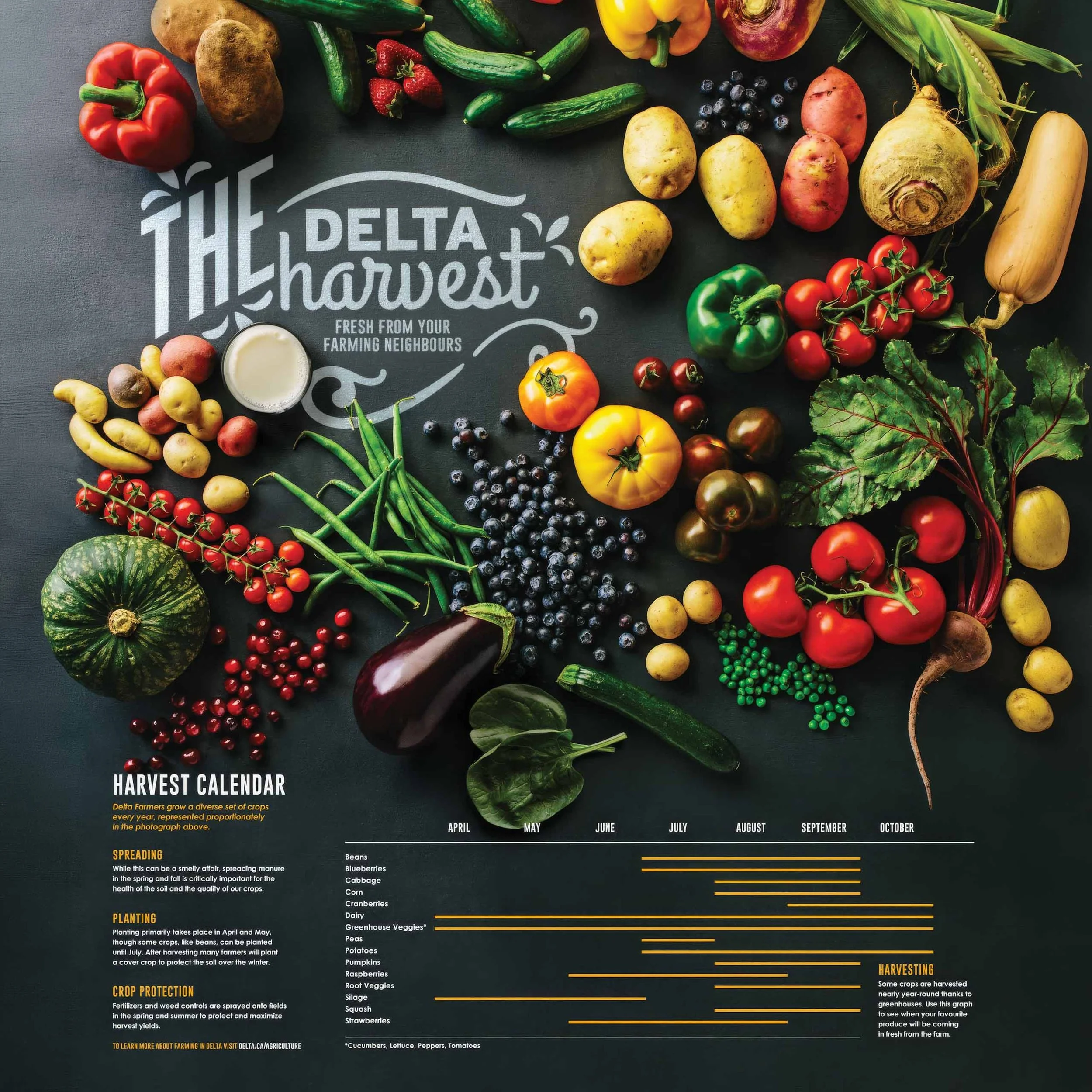 DeltaHarvest.jpg