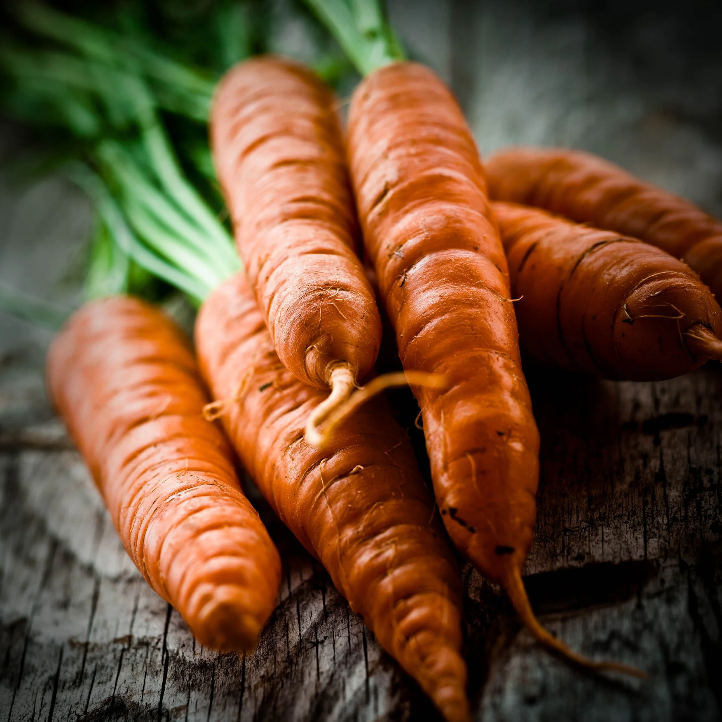 Carrots.jpg