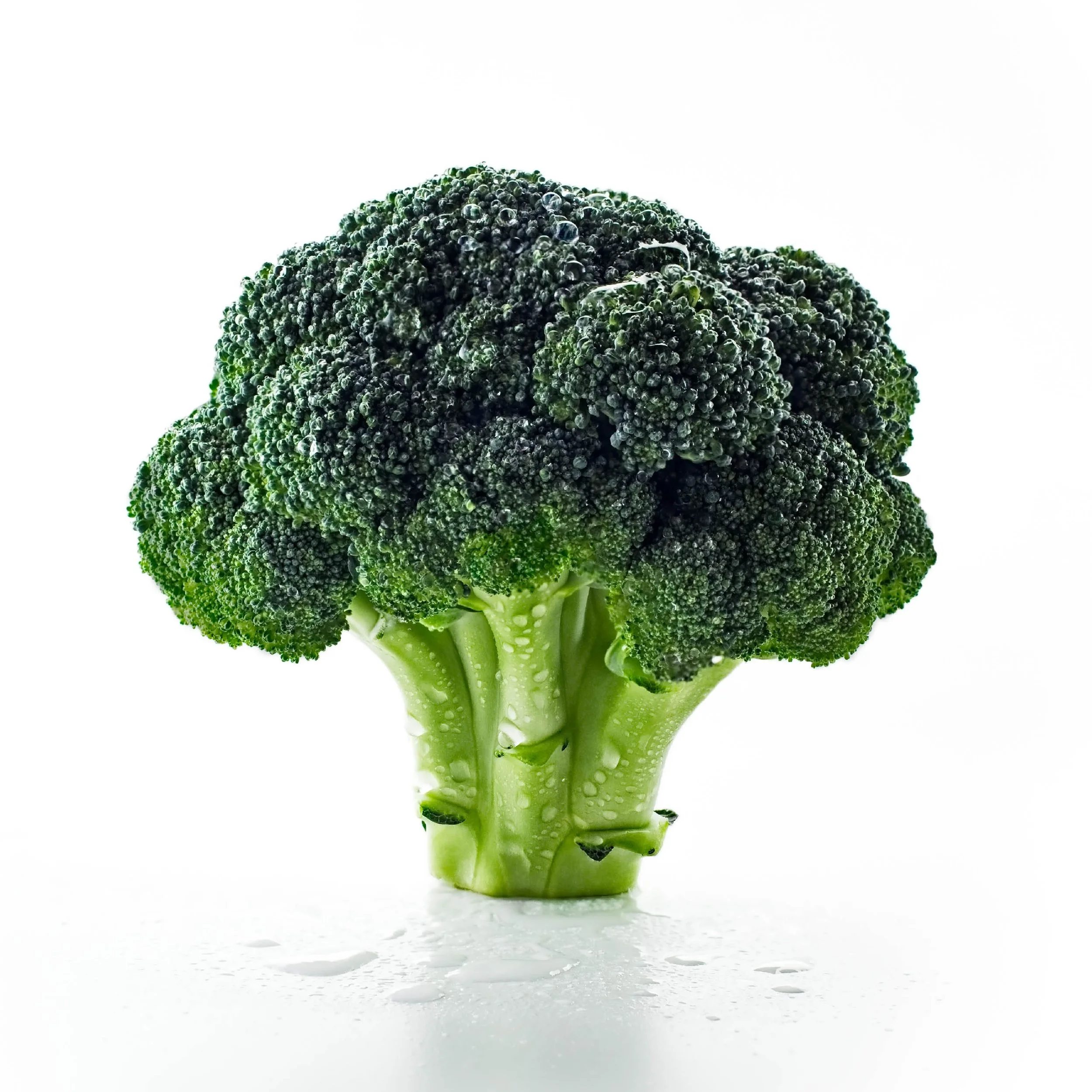 Brocolli.jpg