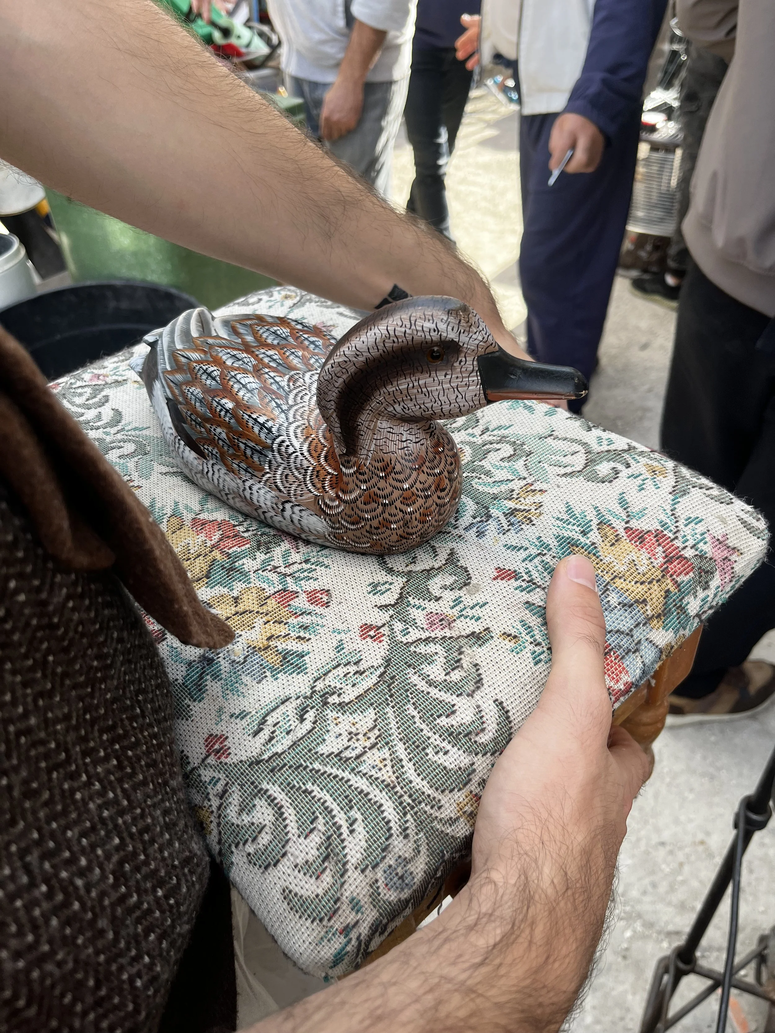 Mimi canard et un pouf