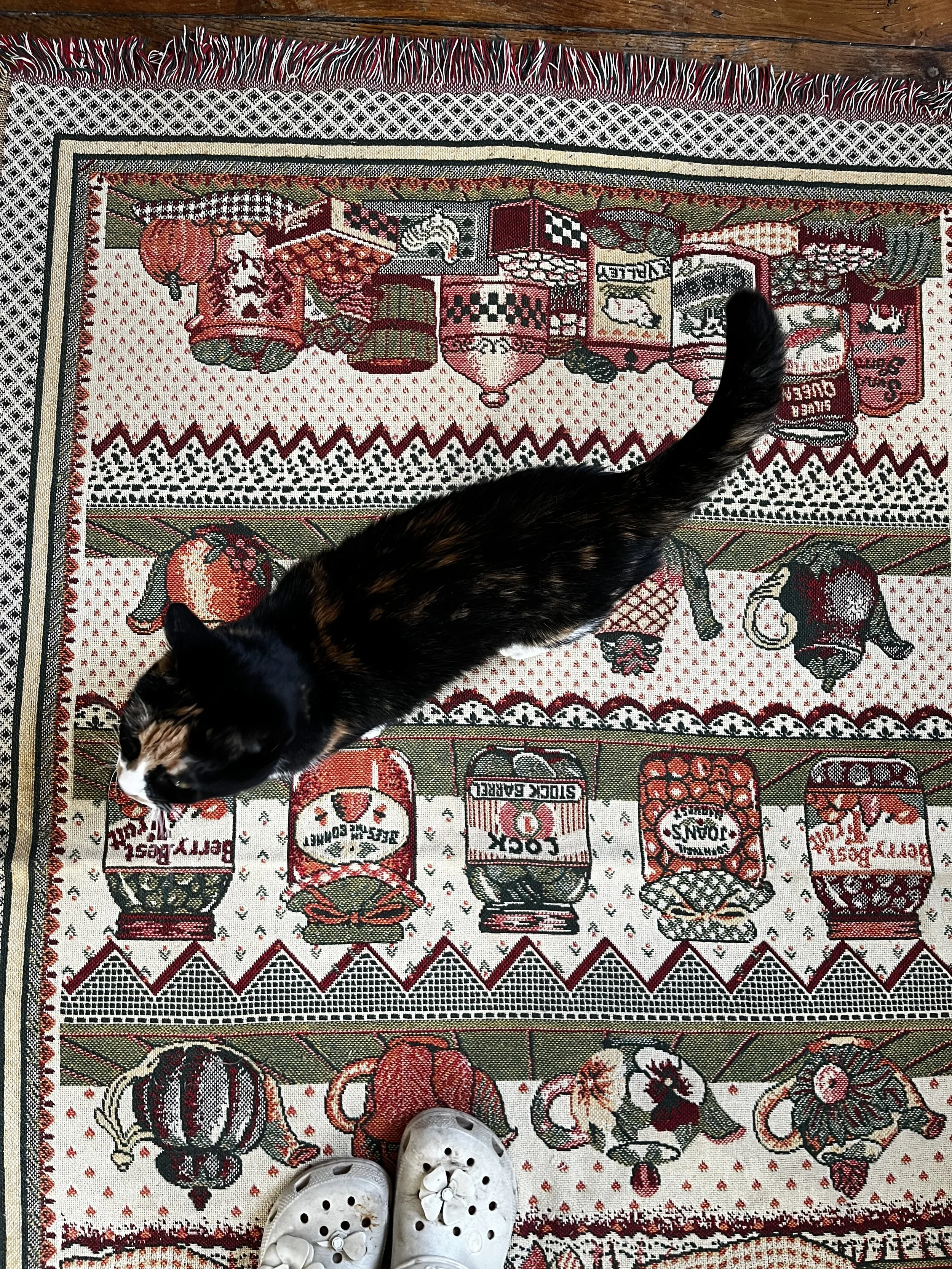 Un trop beau tapis