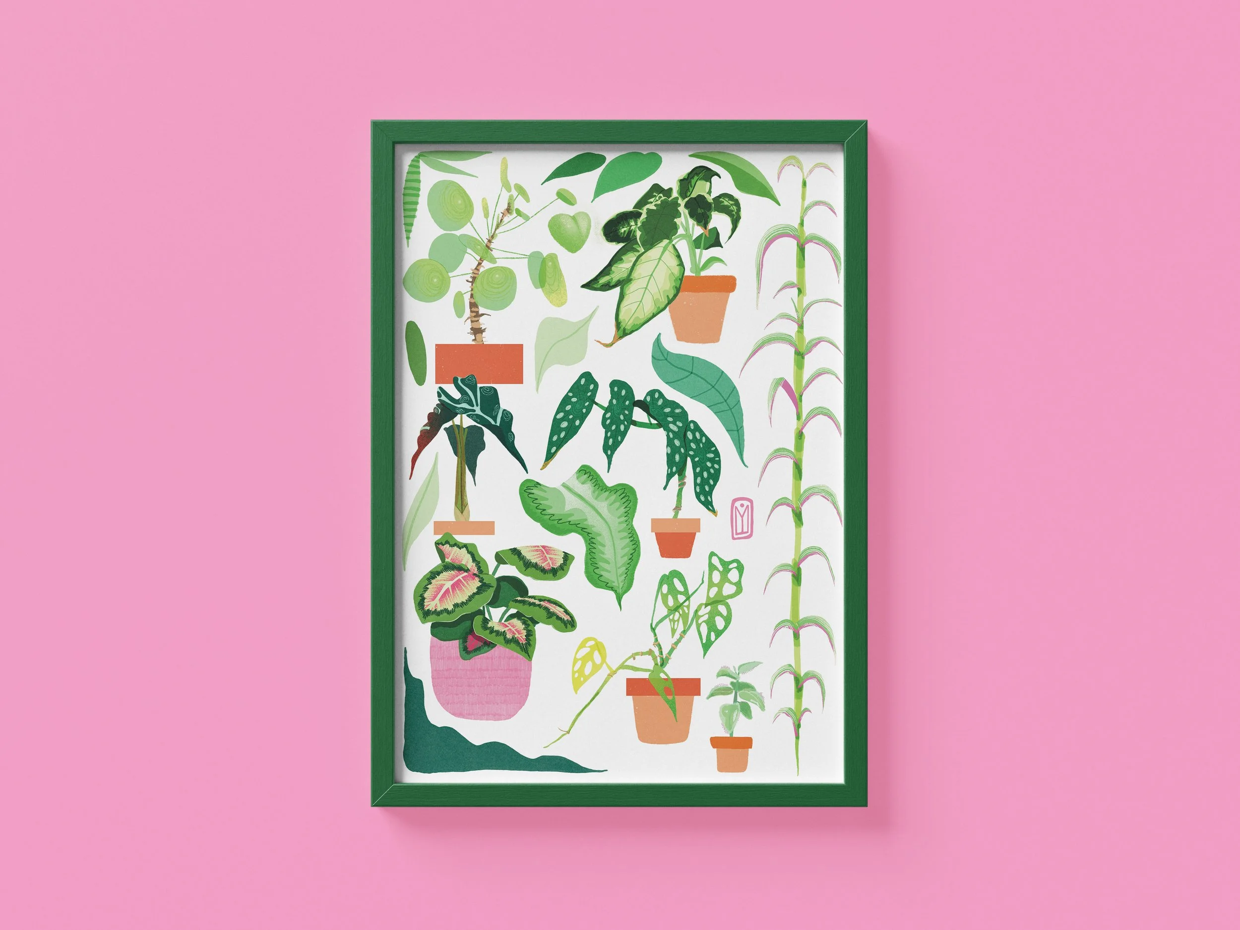 Tirage Fine art - Plantes