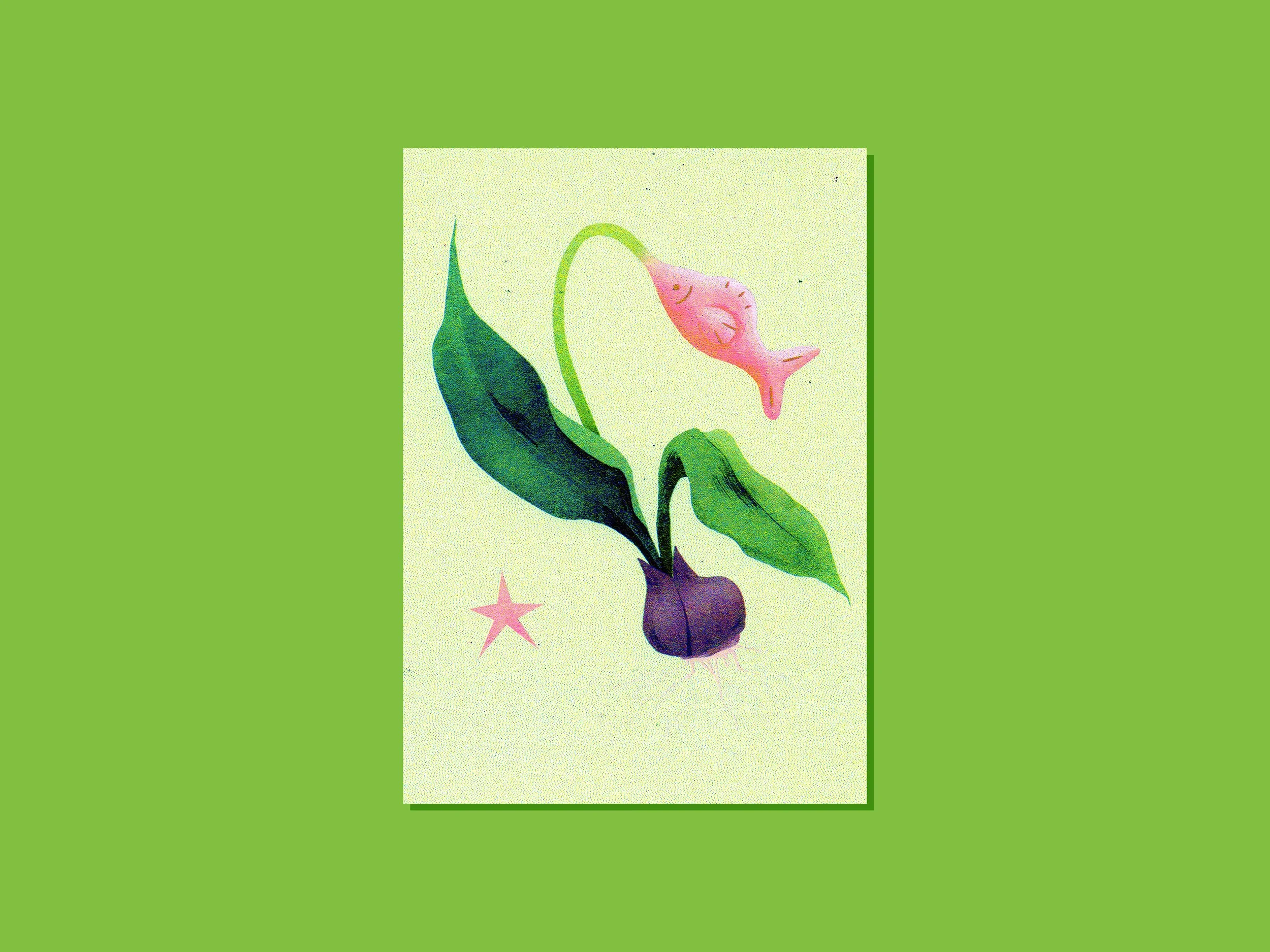 Tirage risographie - Tulipoisson