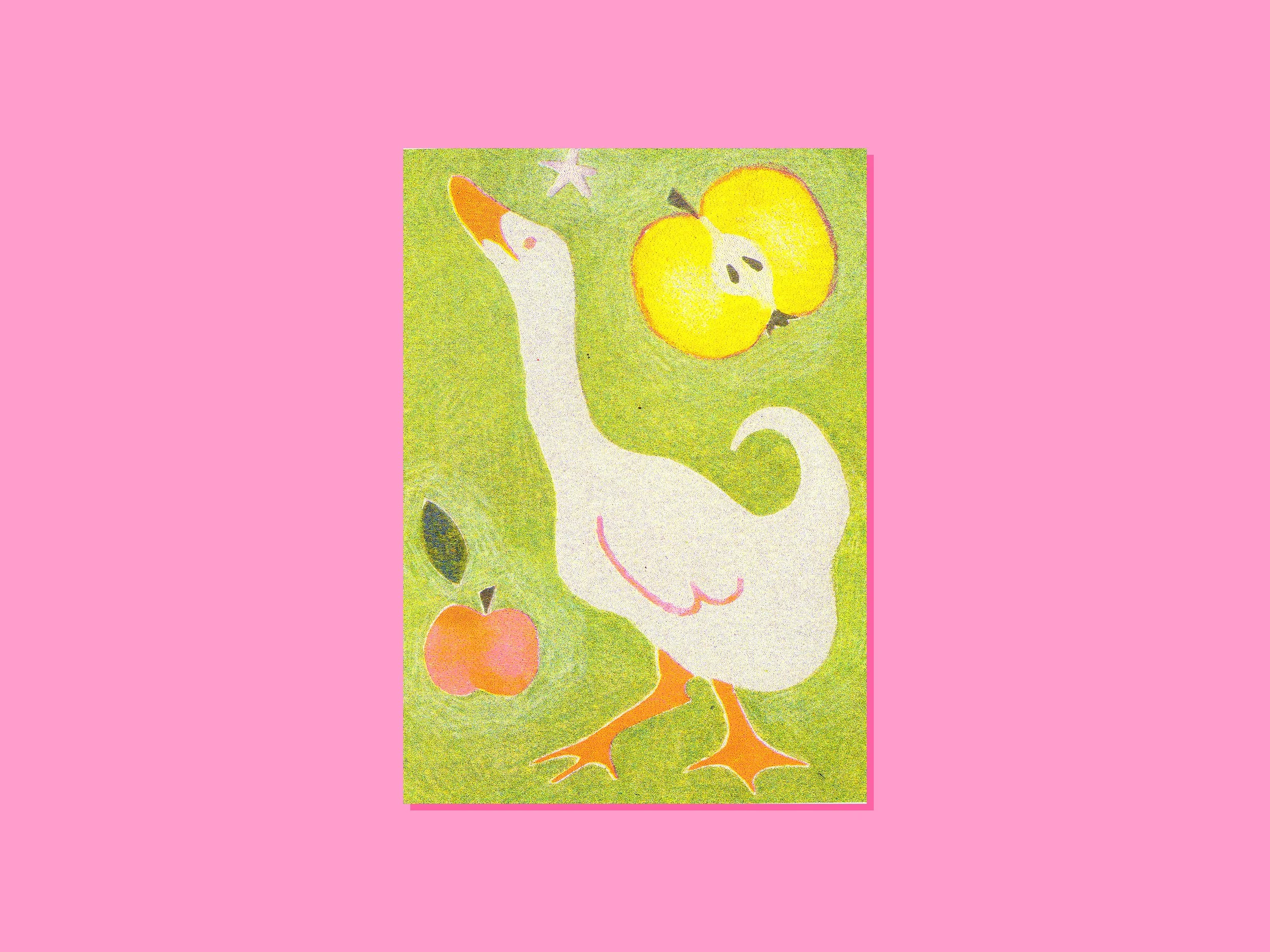 Tirage risographie - Canard