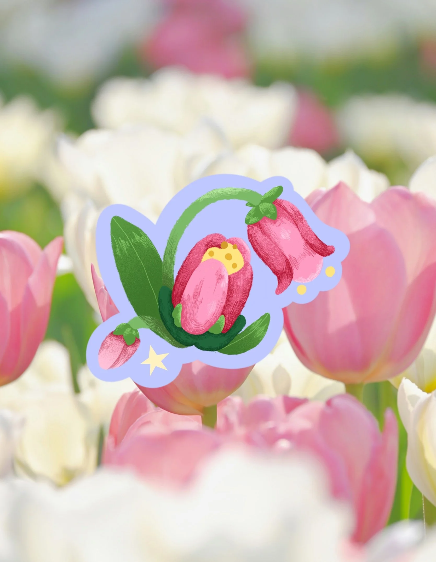 Stickers - Tulipe