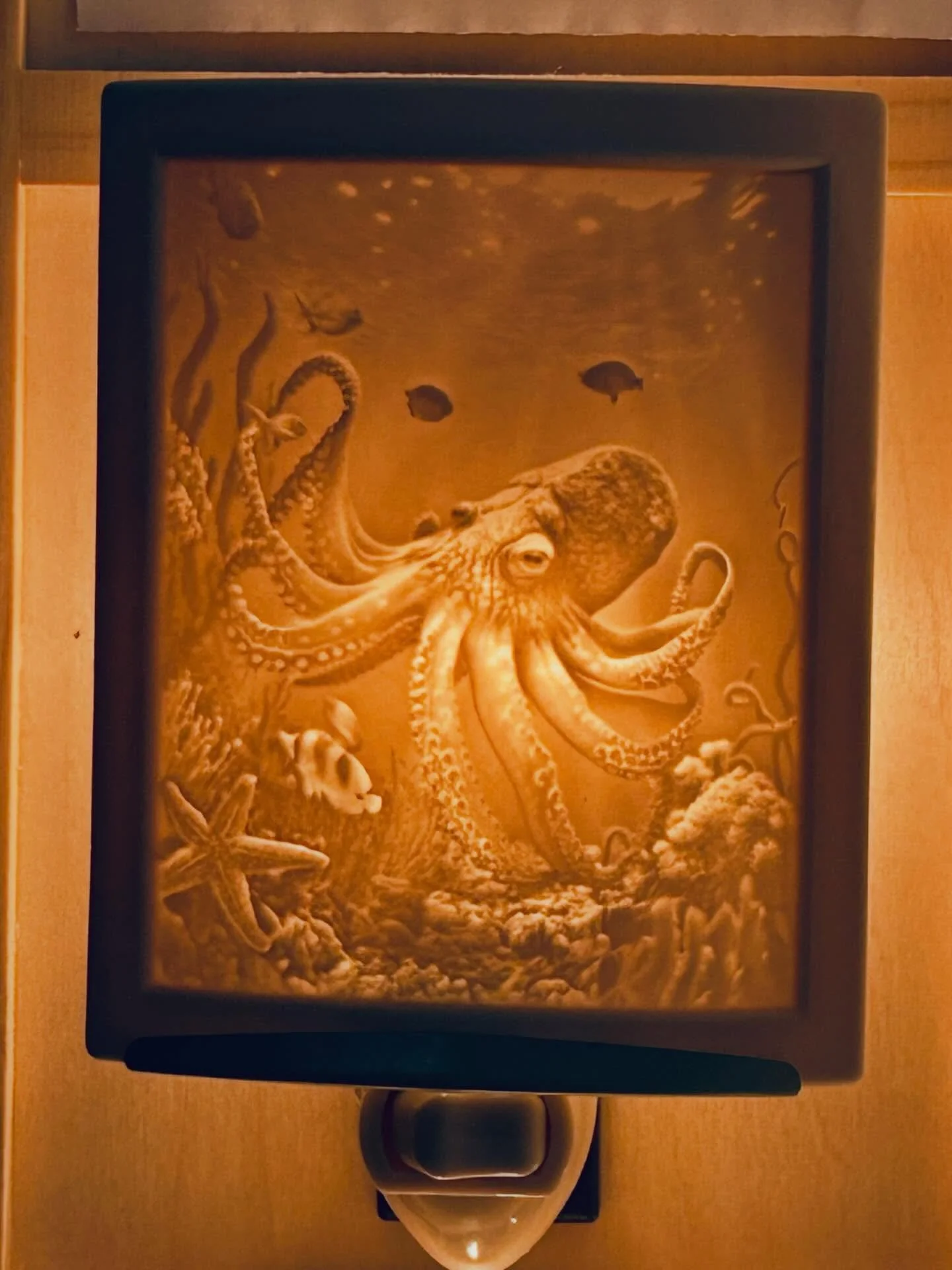 These gorgeous nightlights are made of translucent porcelain lithophanes. The images are created by light shining through the different thicknesses of thin porcelain panels.
#sealife #horselife #outerspace #njgiftshop #centraljersey