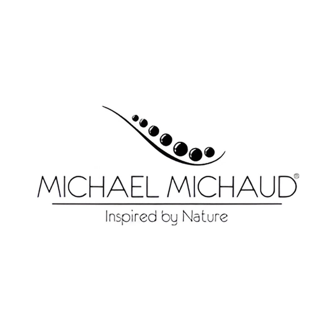 Michael Michaud logo