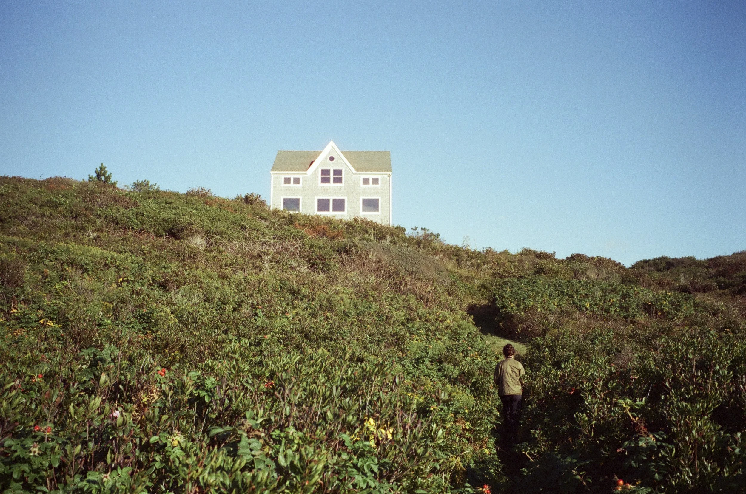 Mostly Landscapes-2.JPG