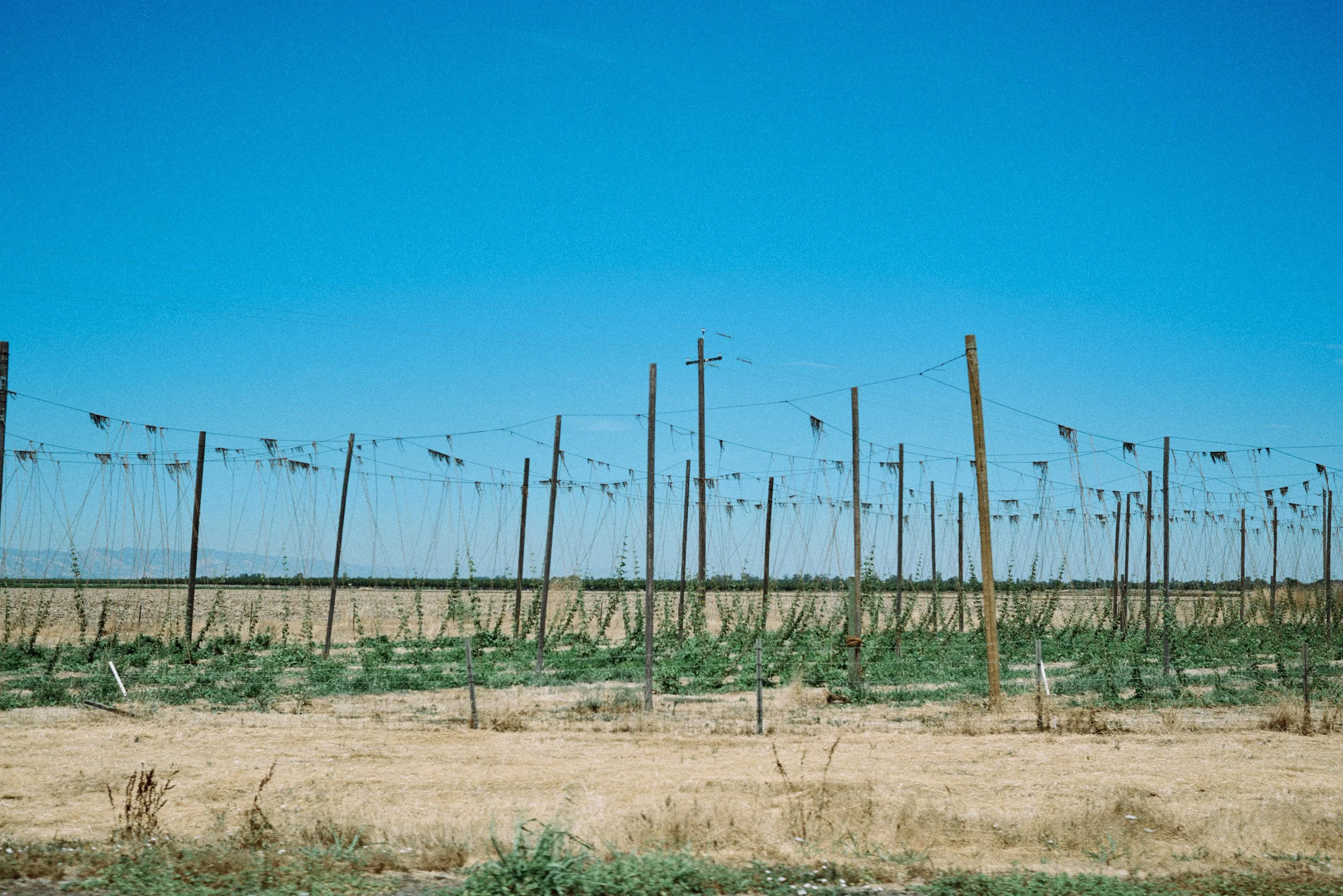 Obviously Landscapes 003.jpg