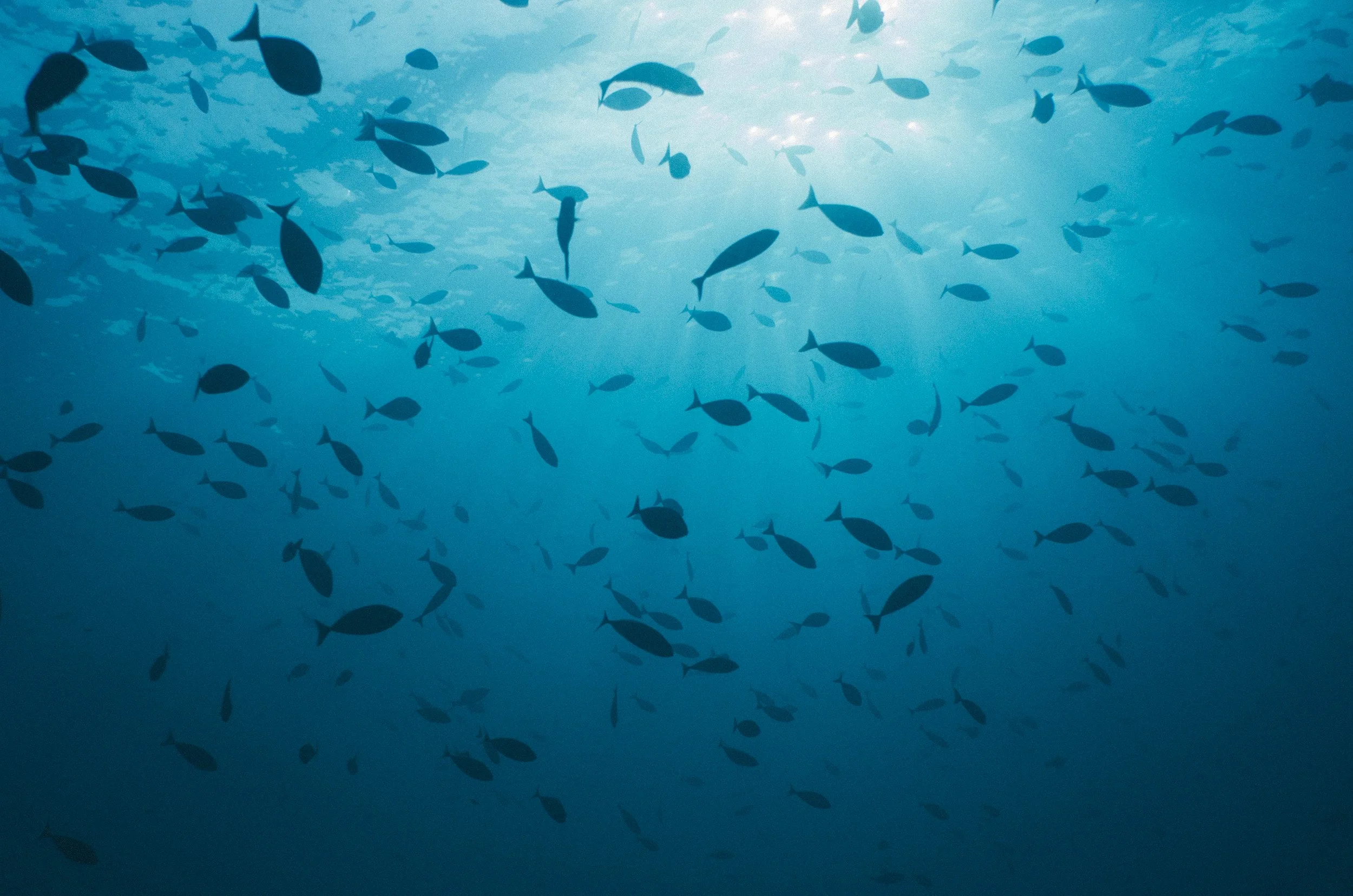 Mostly Landscapes-11.JPG