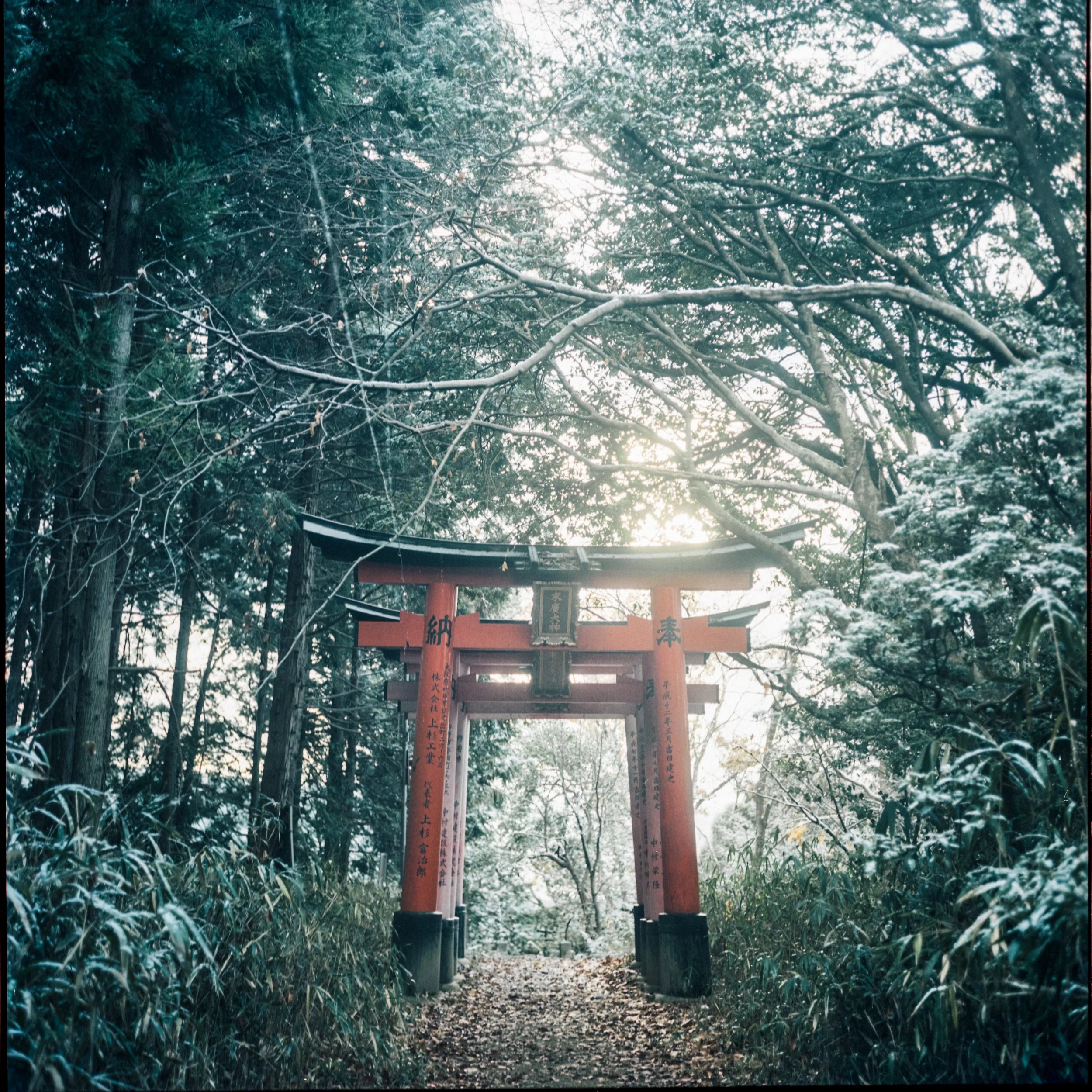 Kyoto.JPG
