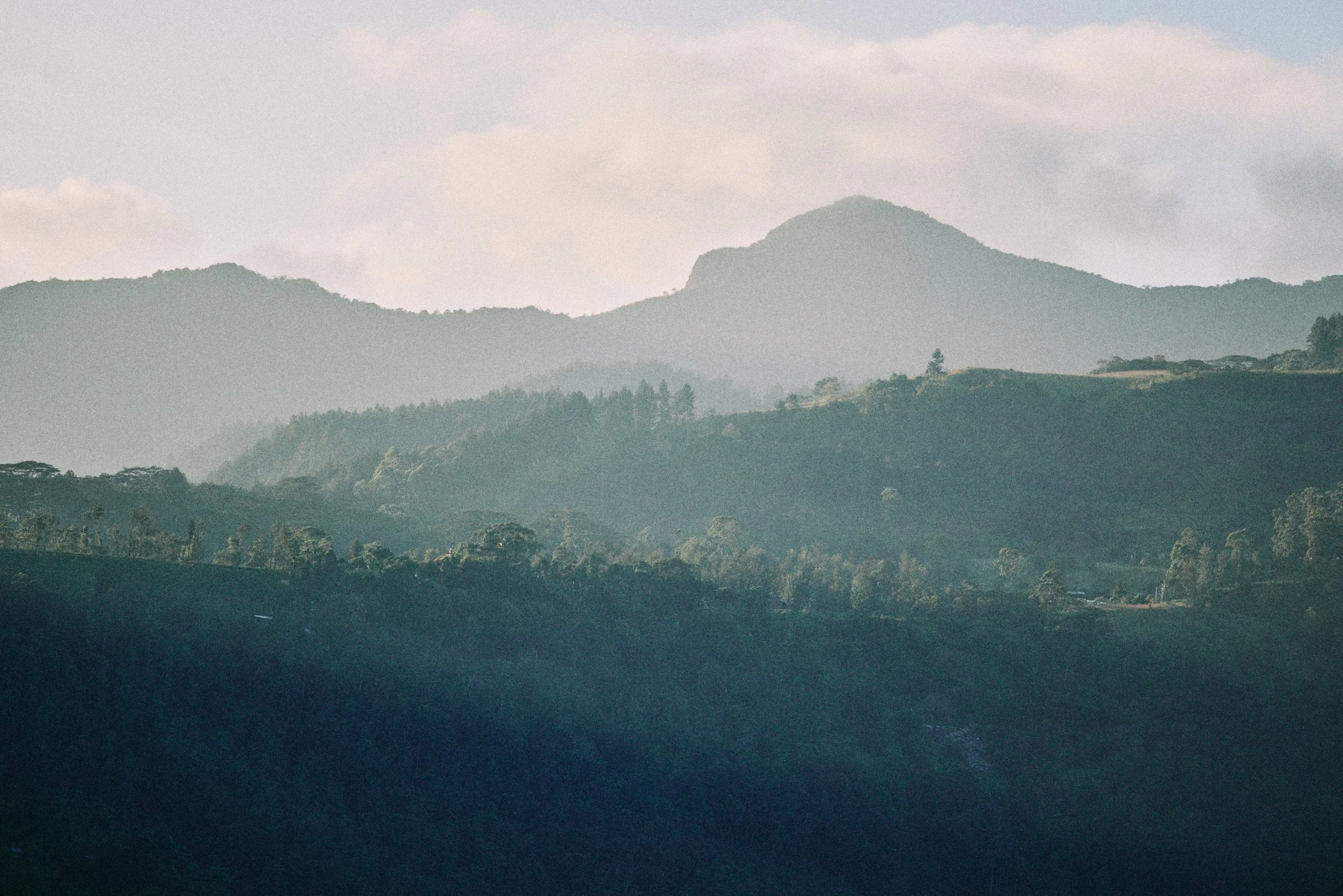 Obviously Landscapes 001.jpg