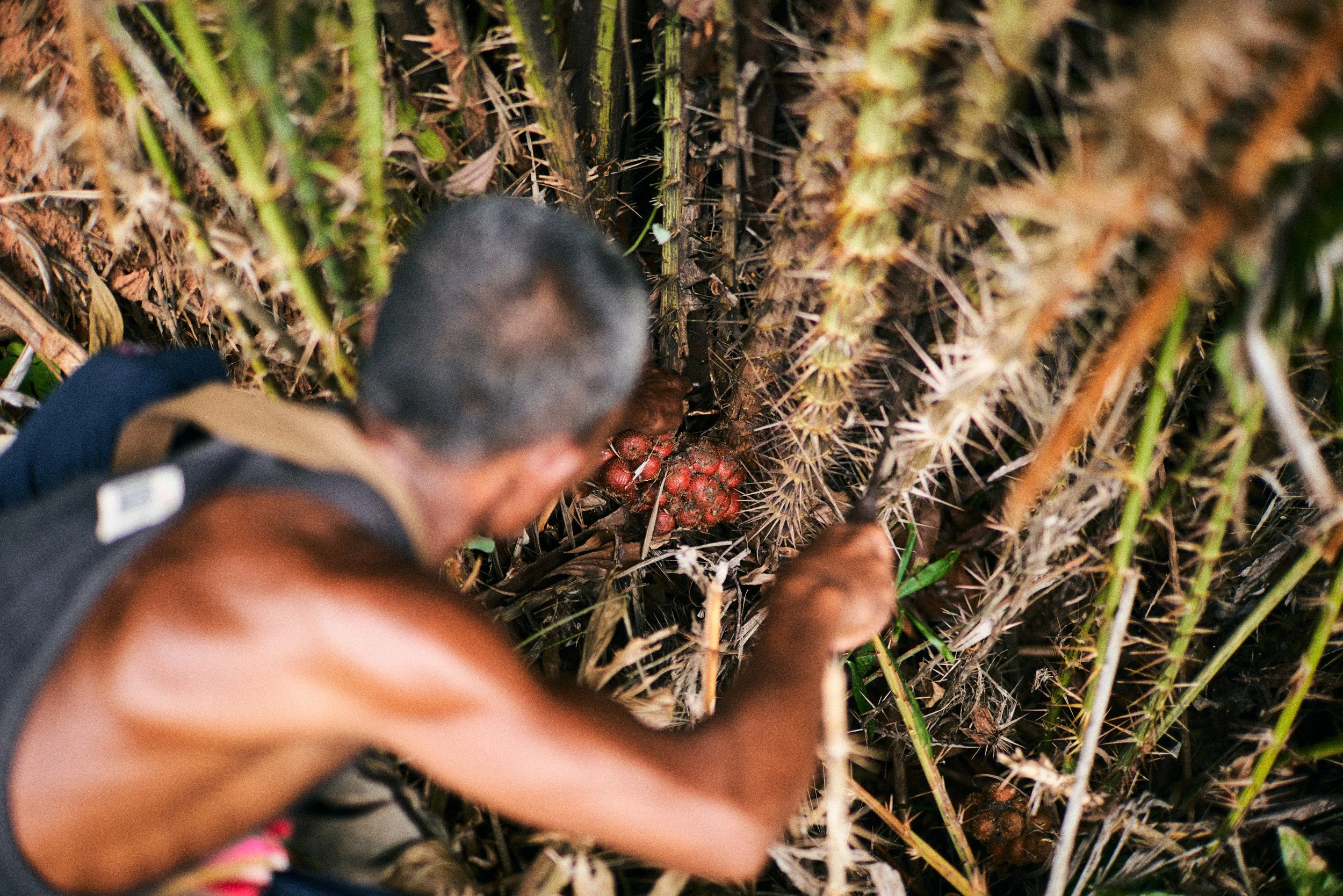 New Editorial Photography 04.JPG