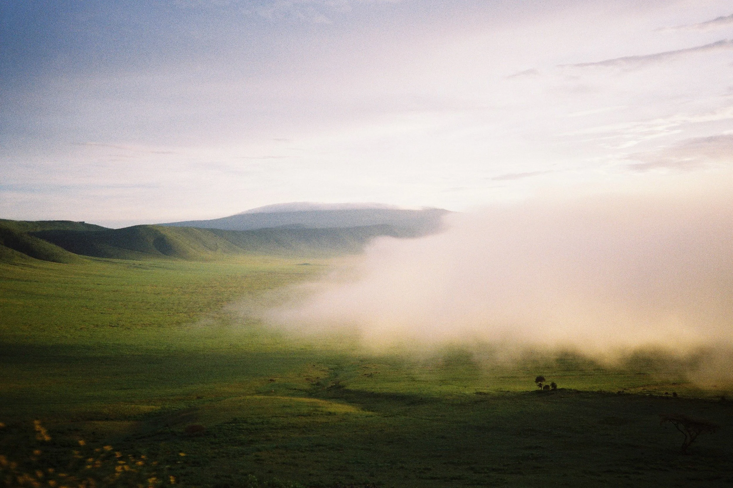 Obviously Landscapes 004.JPG