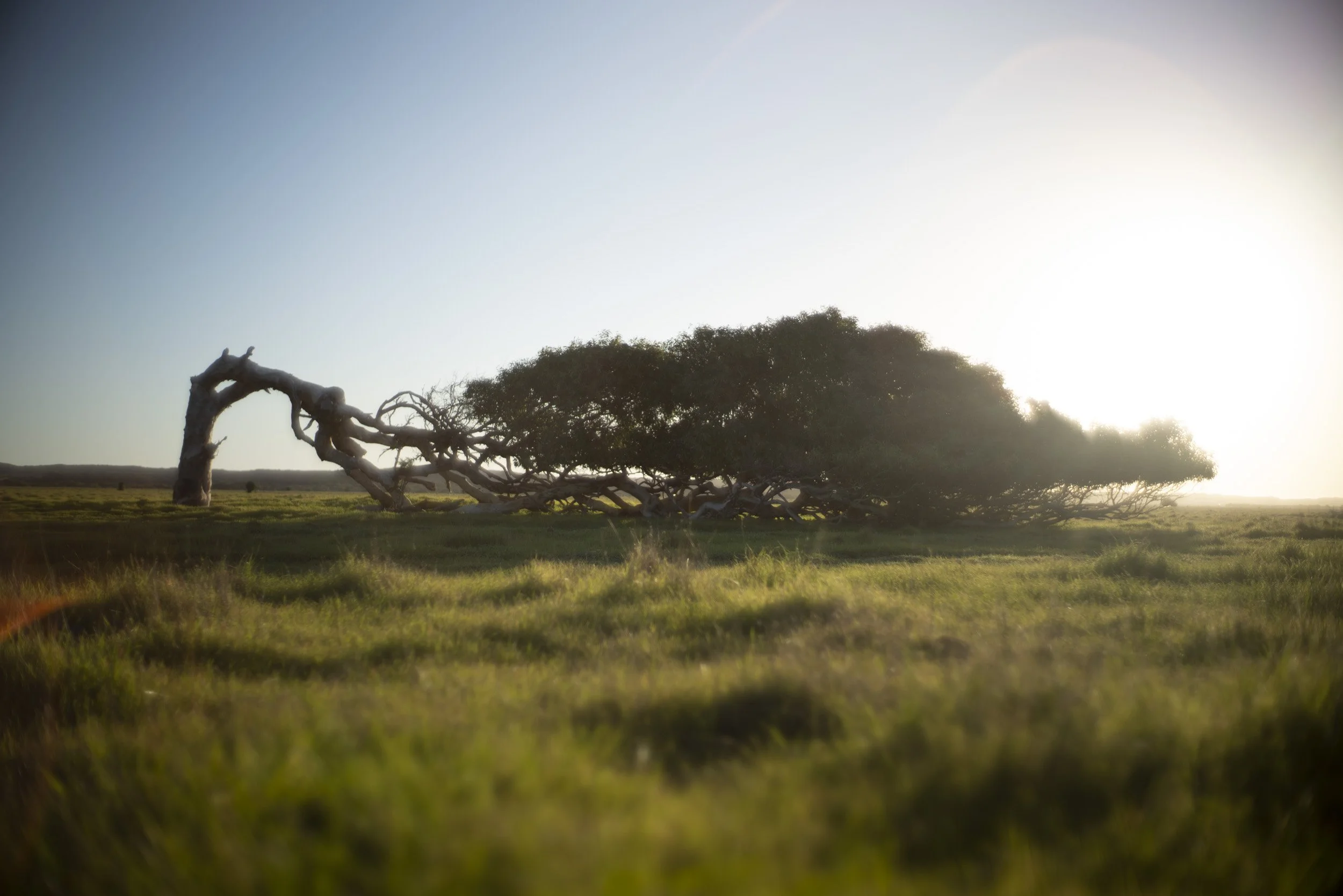 Mostly Landscapes-6.JPG