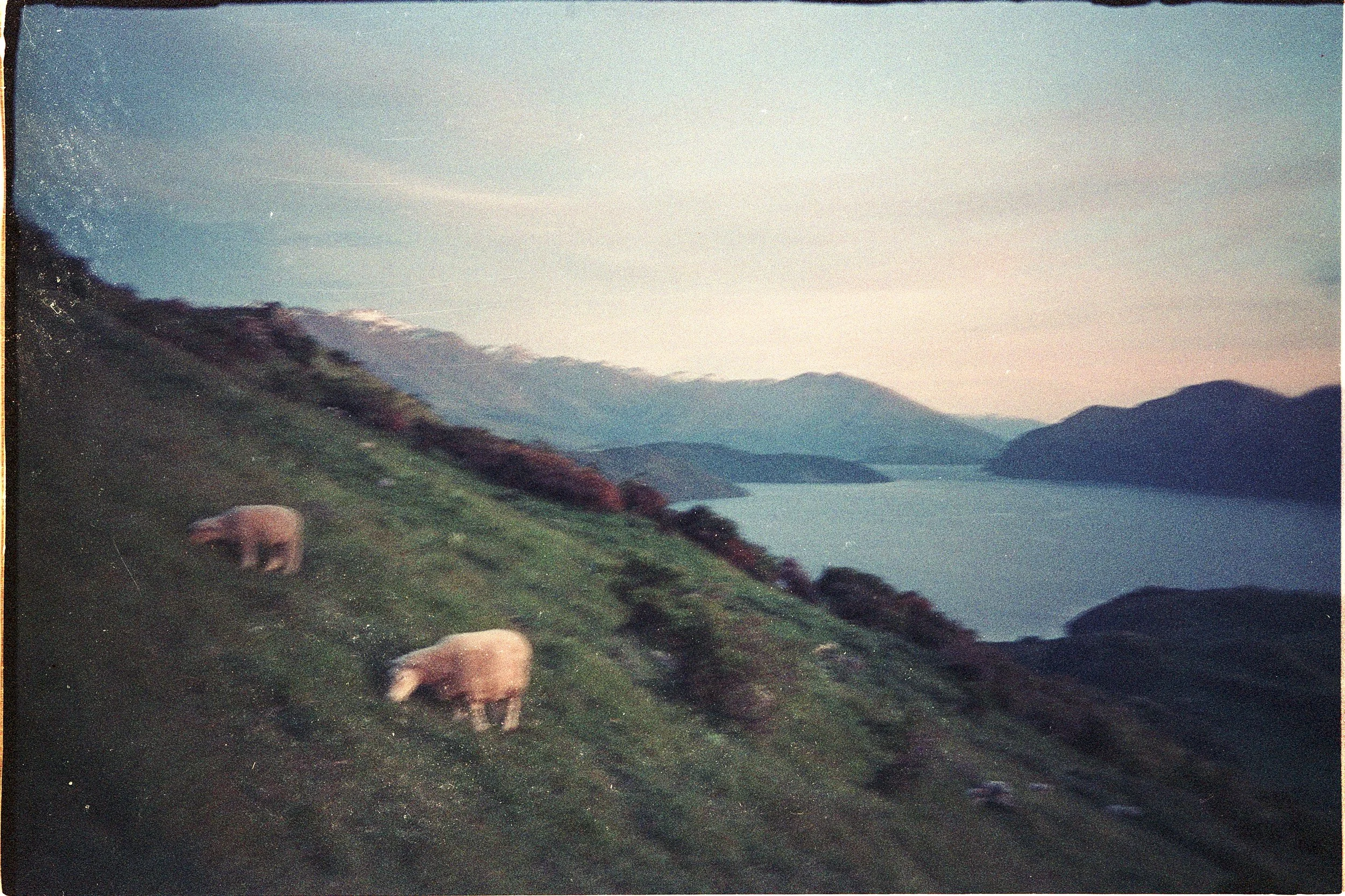 Mostly Landscapes-14.JPG