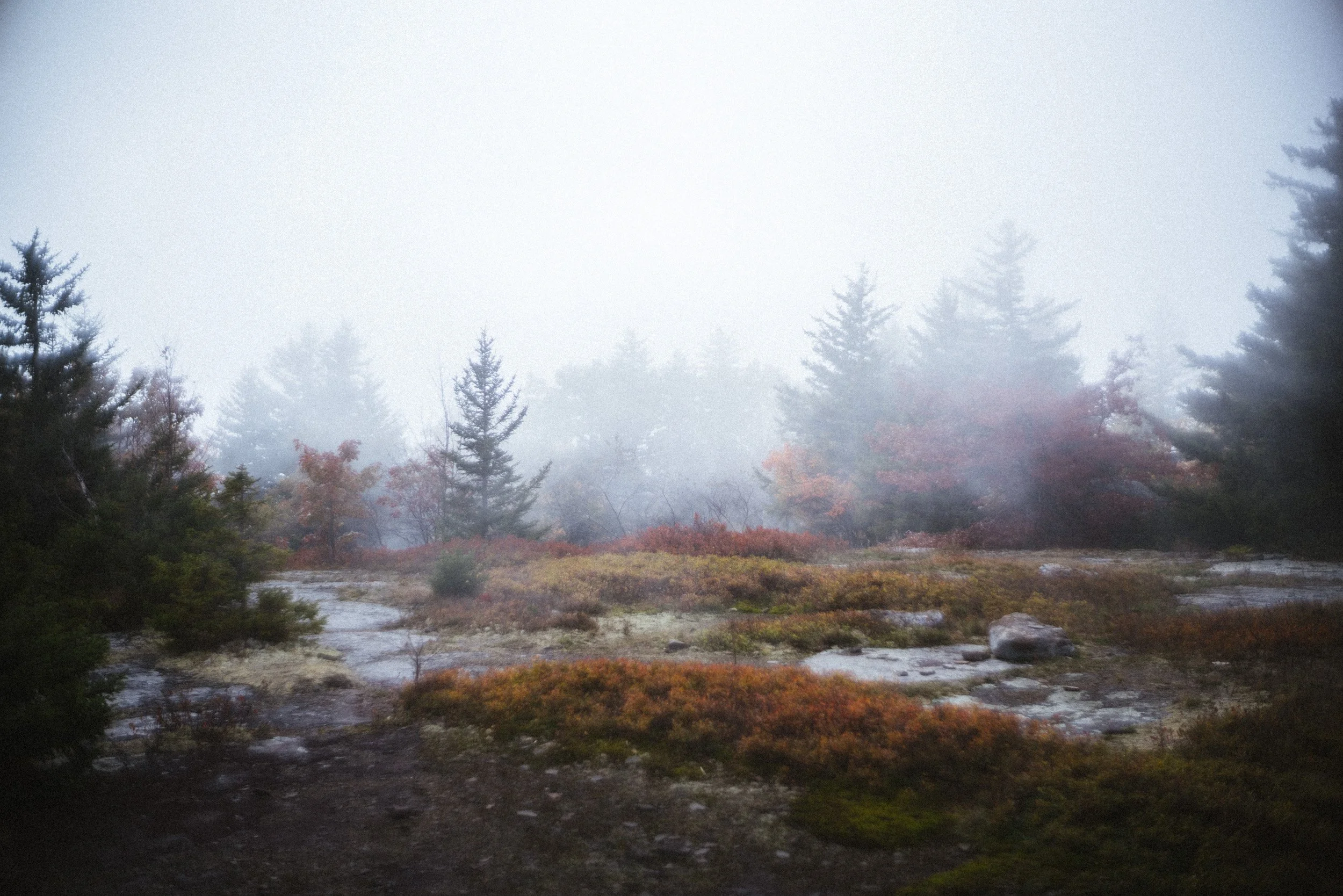 Film Landscape Photography 05.JPG