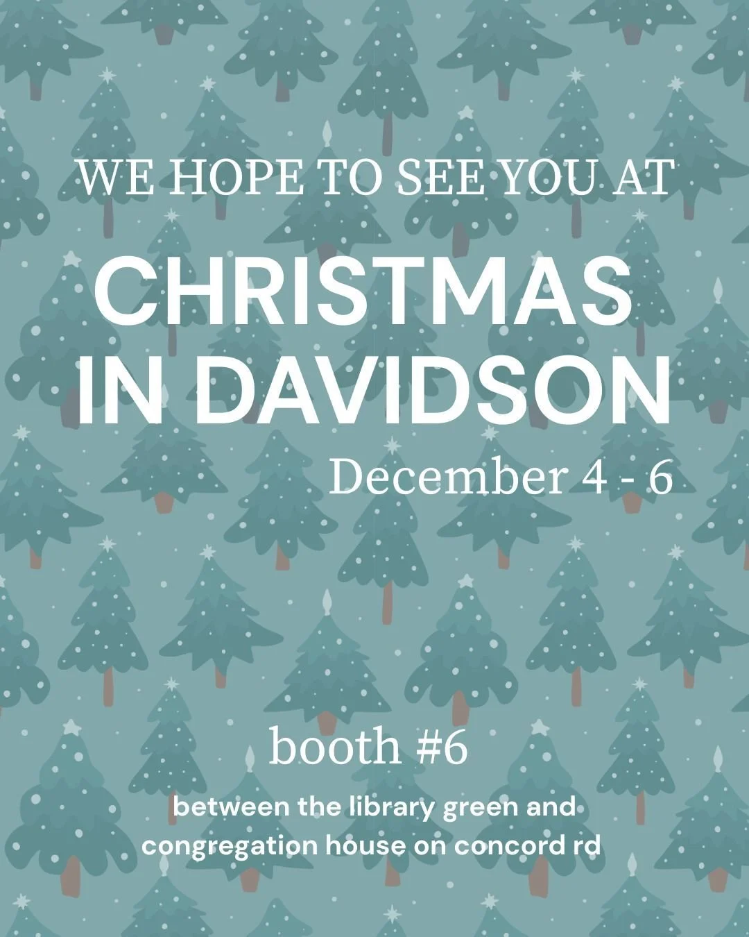 Christmas in Davidson is almost here!

We&rsquo;ll be at Booth #6, right between the Library Green and the Congregation House on Concord Rd.

Come visit, shop local, and support the incredible work of our Citizens!

#nonprofit #christmas #shoplocal