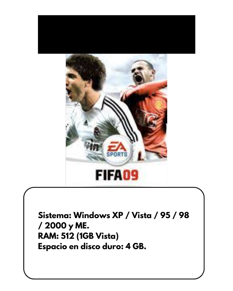 FIFA 2009