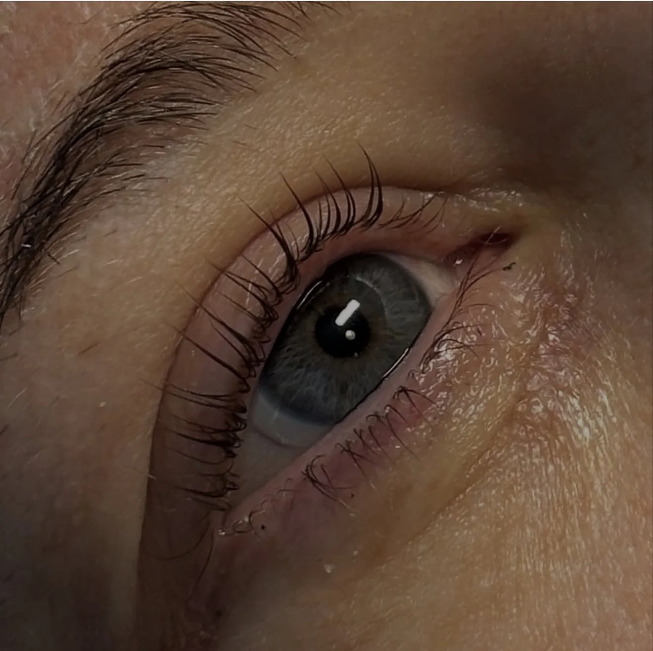 Lash Lifts and Brow Tinting in Grand Rapids: The Low-Maintenance Beauty Guide