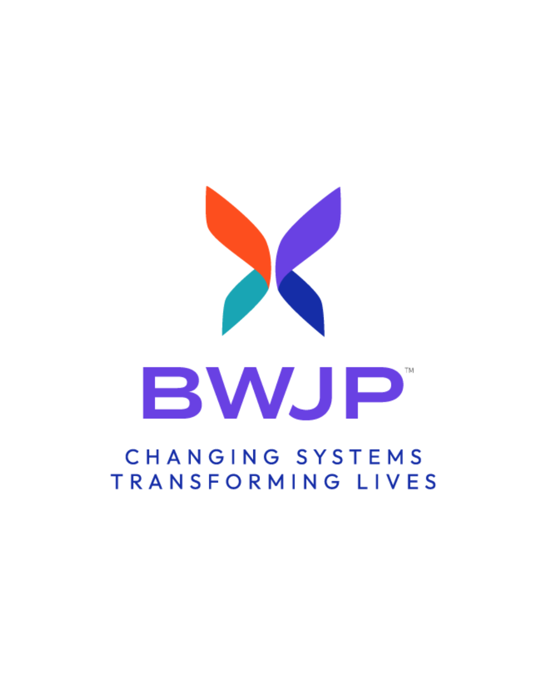 Battered Women’s Justice Project
