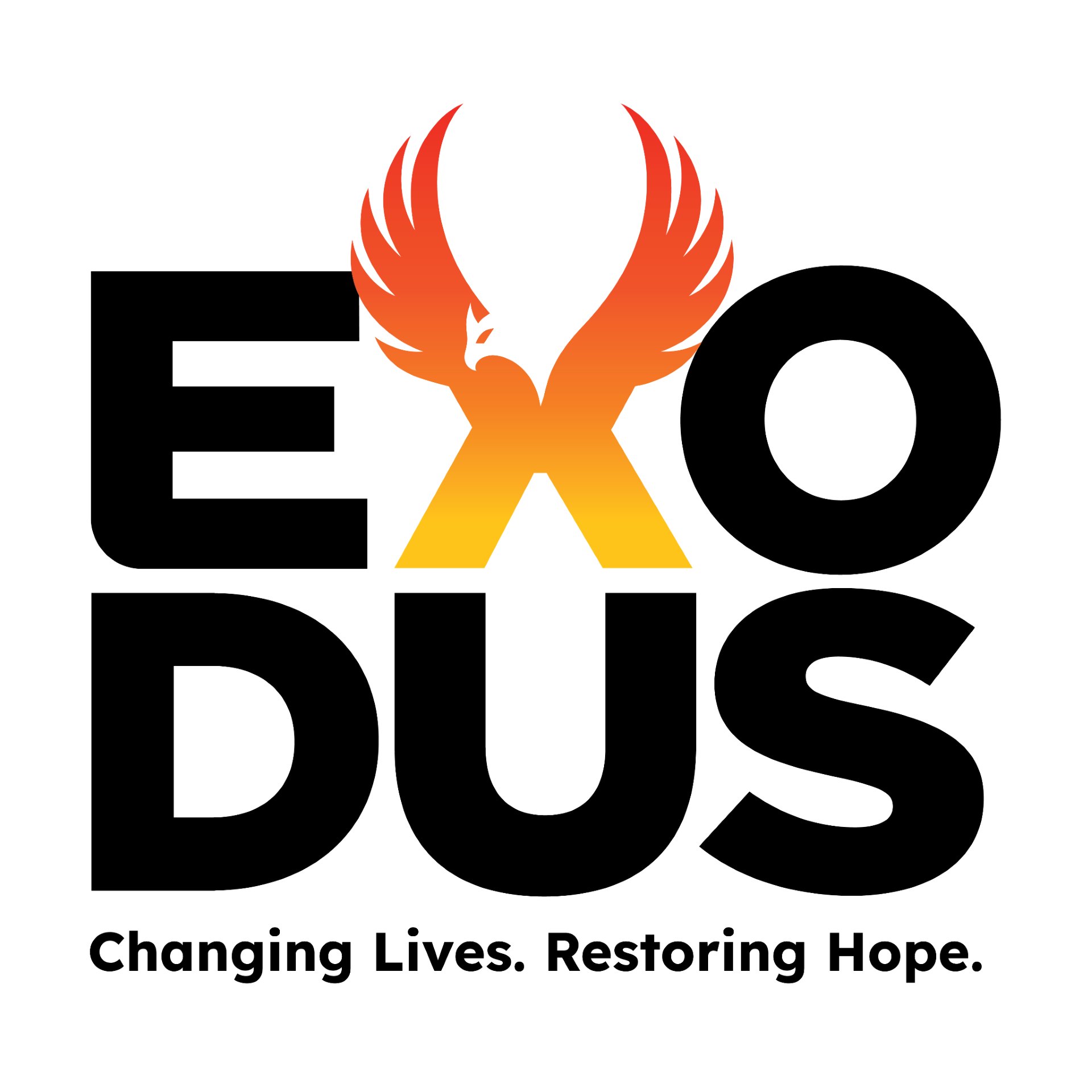 image (7).png