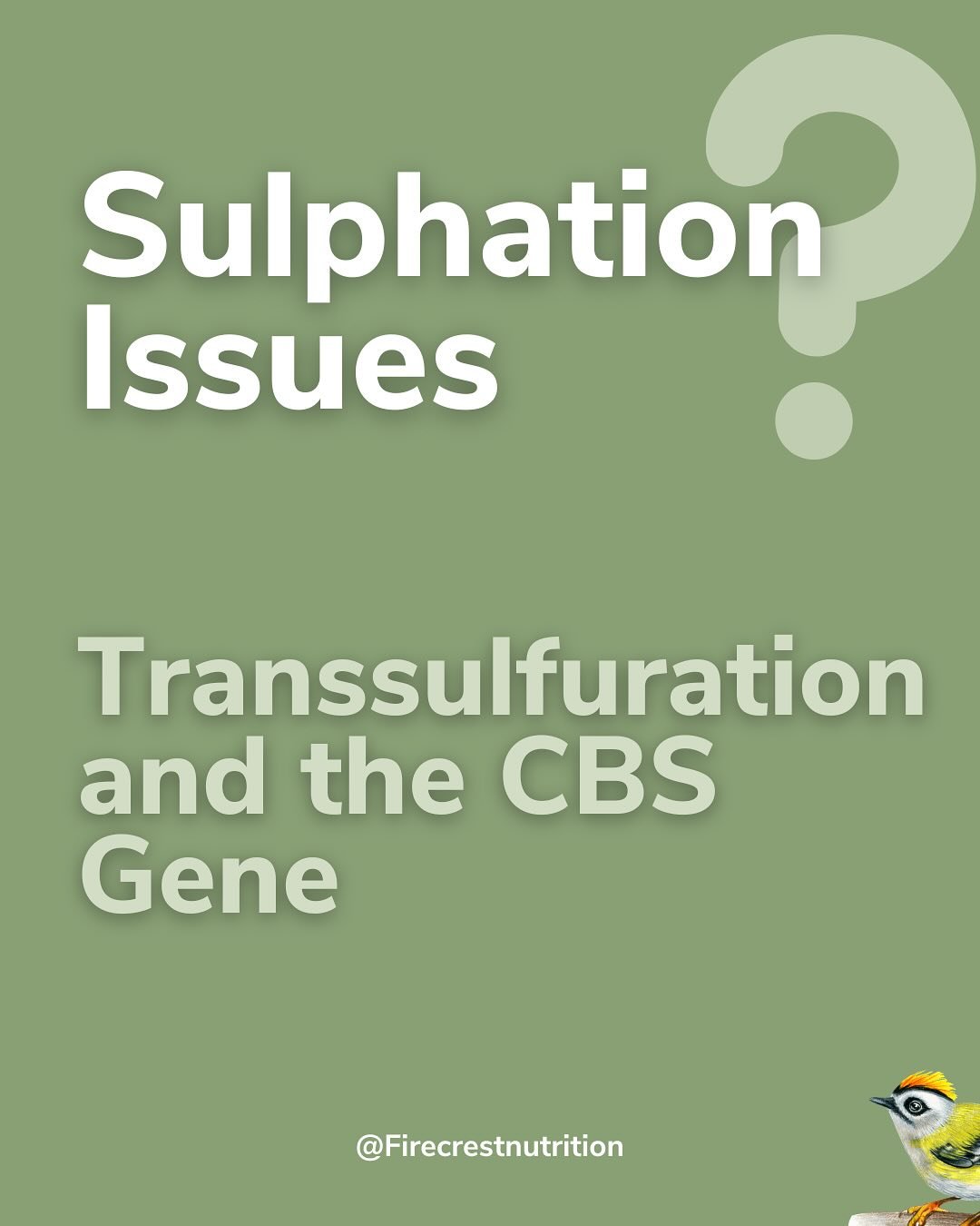 🧬✨Genes can be &lsquo;turned on&rsquo; and &lsquo;turned off&rsquo; with an environmental influence known as epigenetics. I believe the body rarely makes mistakes, and a lot of gene &lsquo;defects&rsquo; are adaptive responses. Glyphosate is one fac